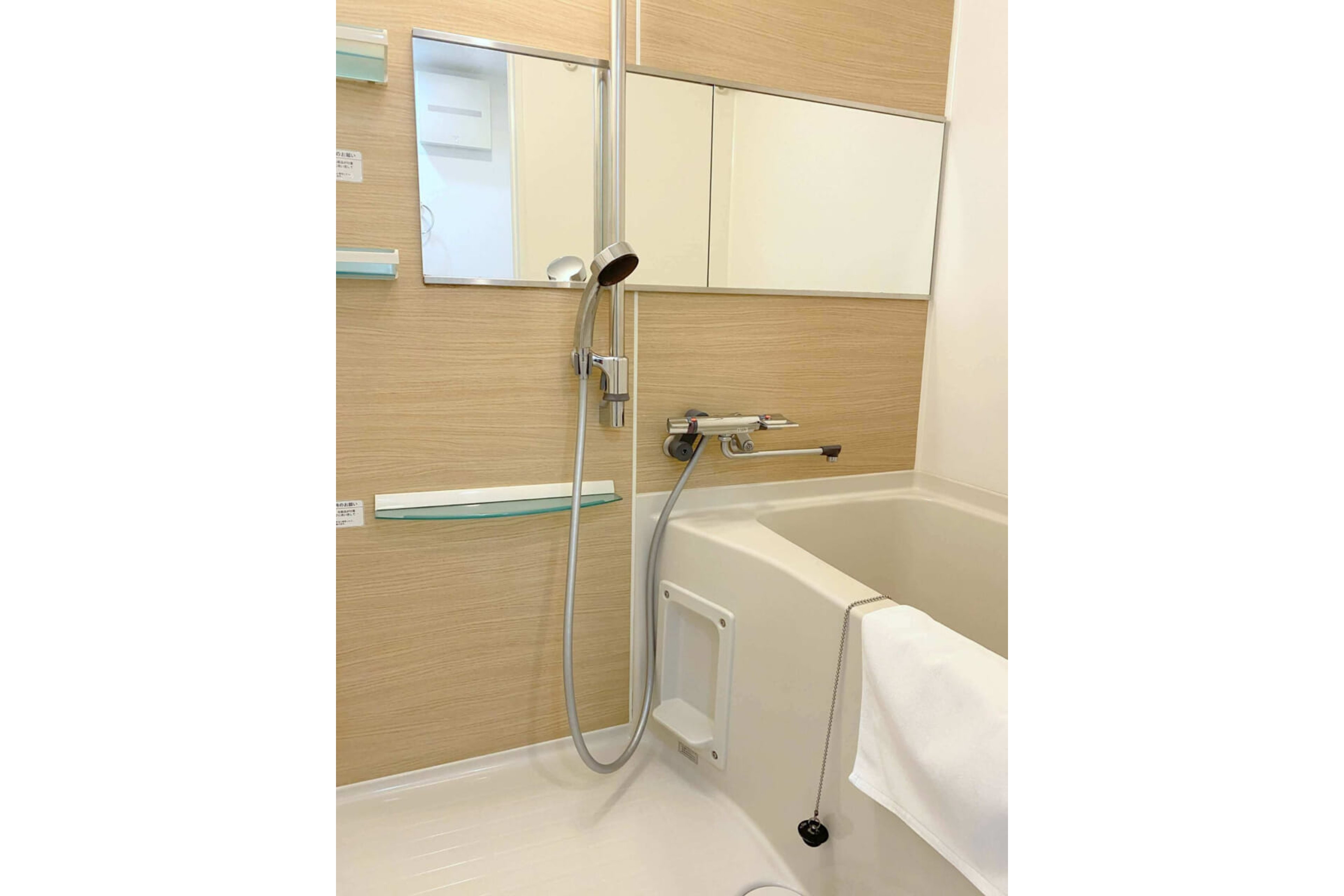 プラチナタイプのイメージ