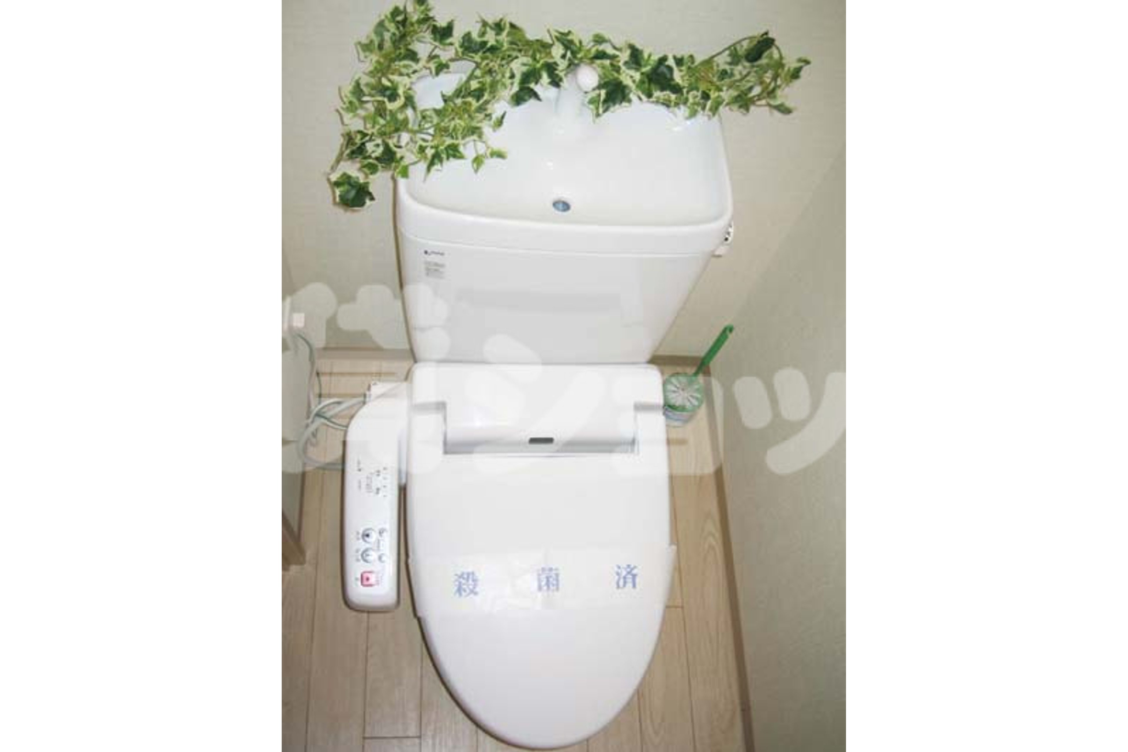 スタンダードタイプのイメージ