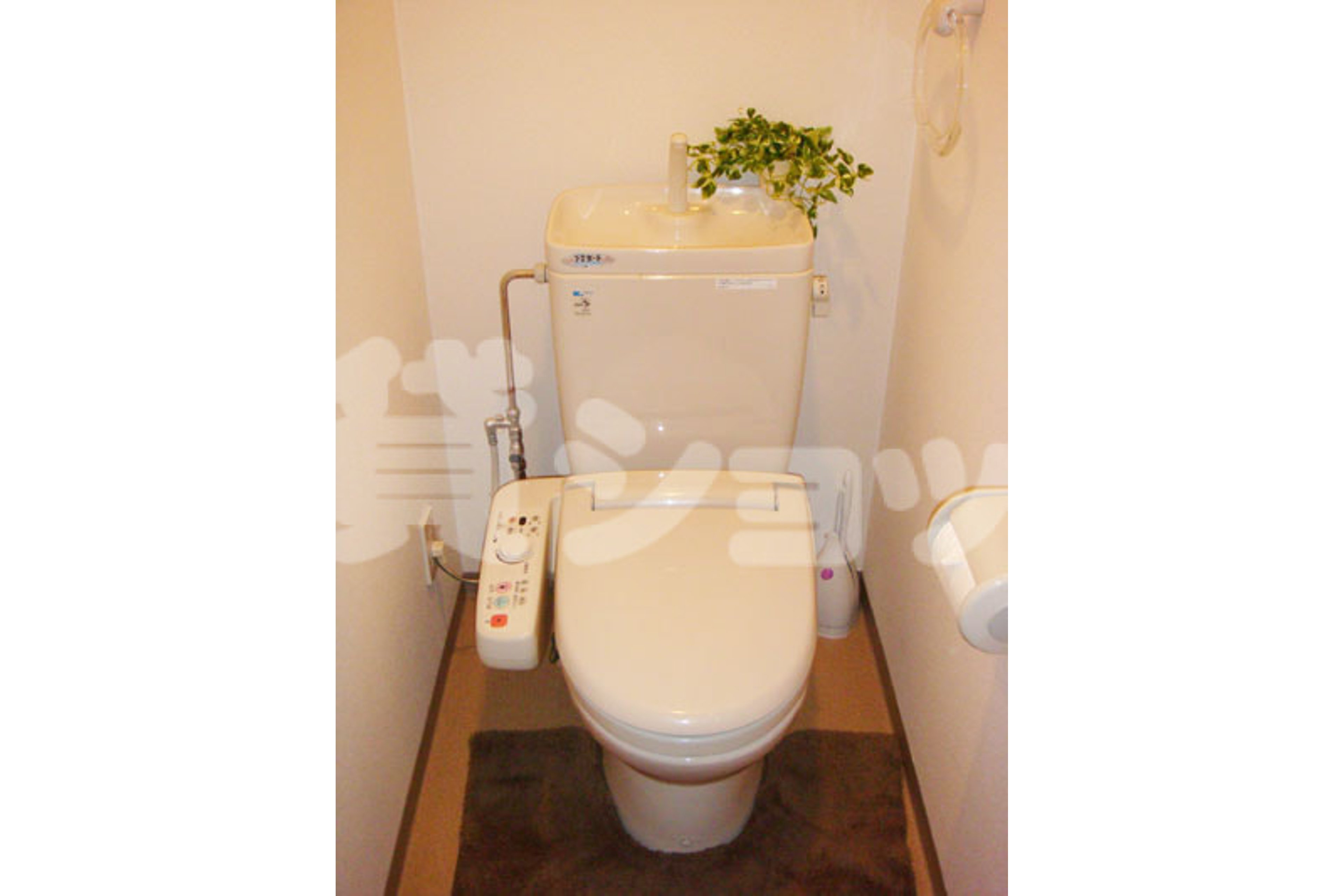 スタンダードタイプのイメージ