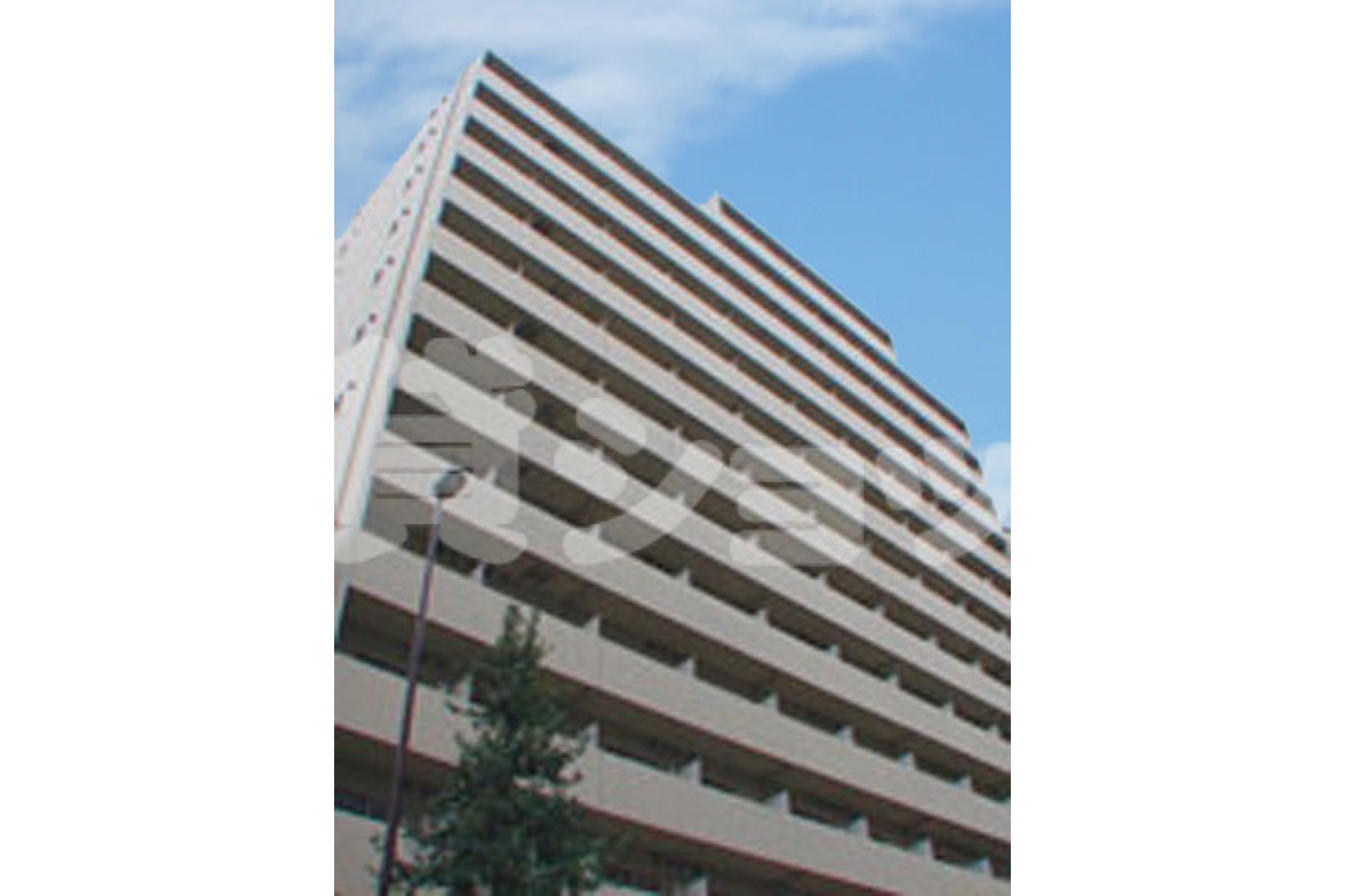 スタンダードタイプのイメージ