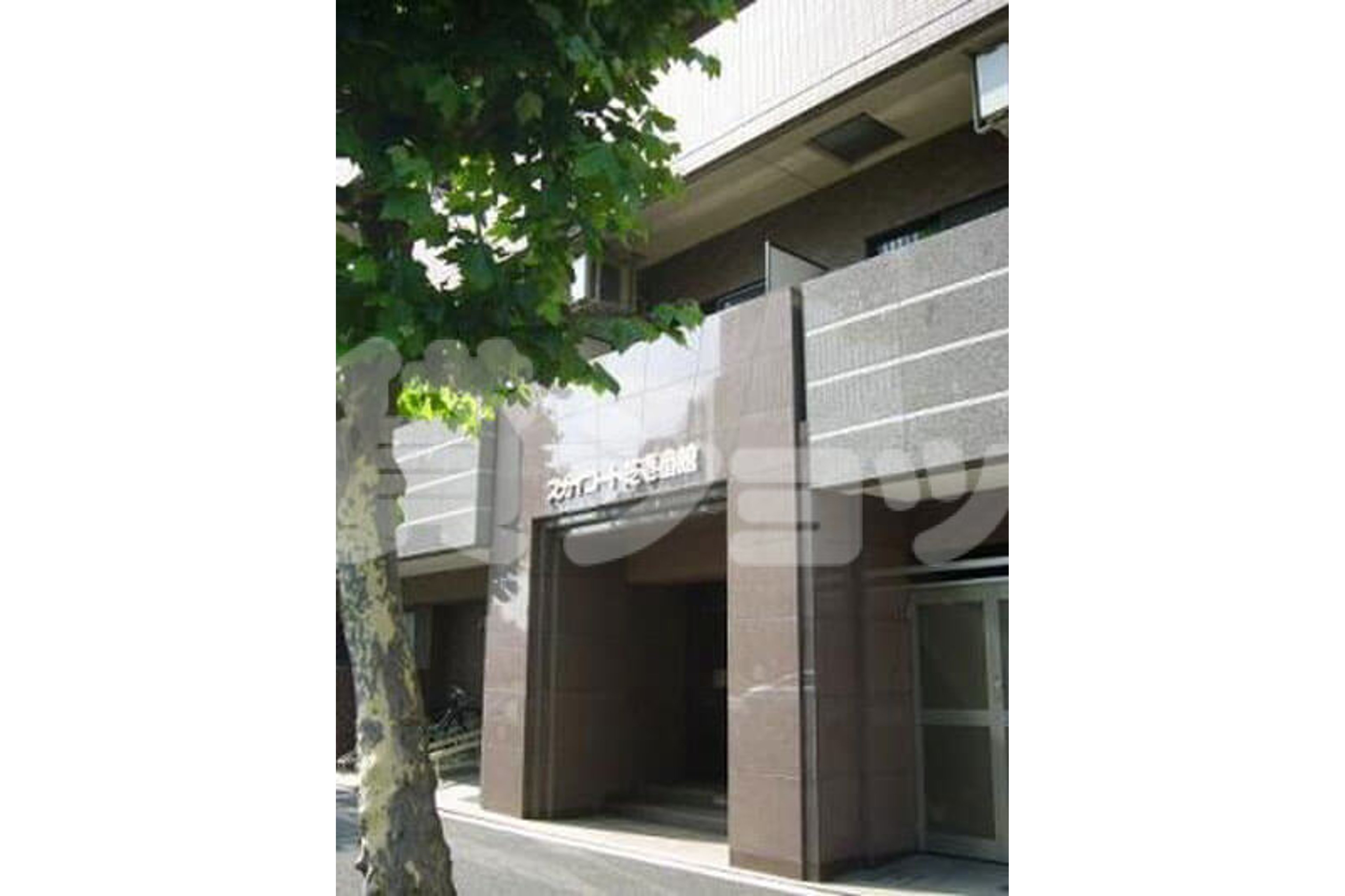 スタンダードタイプのイメージ