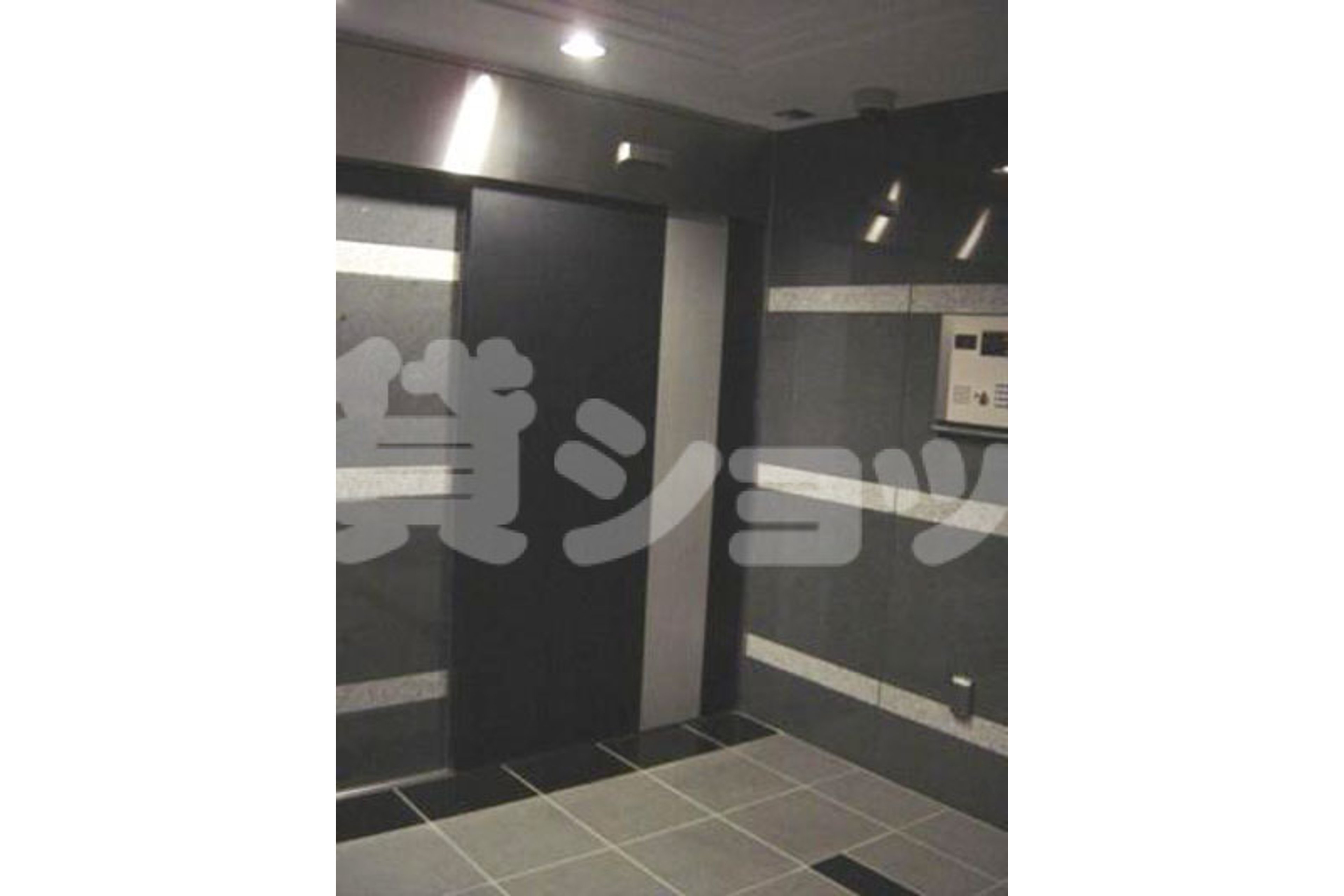 スタンダードタイプのイメージ