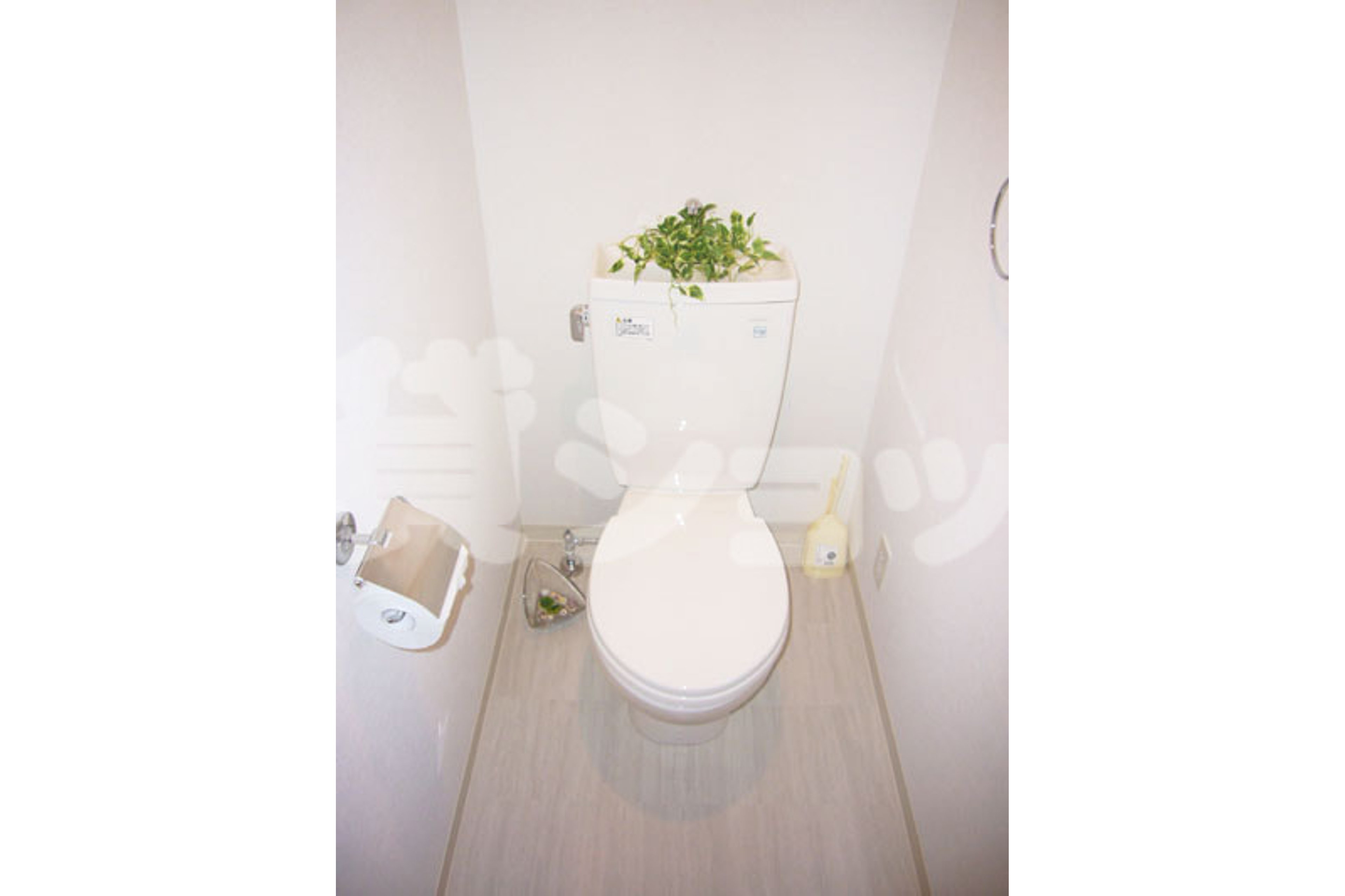 スタンダードタイプのイメージ