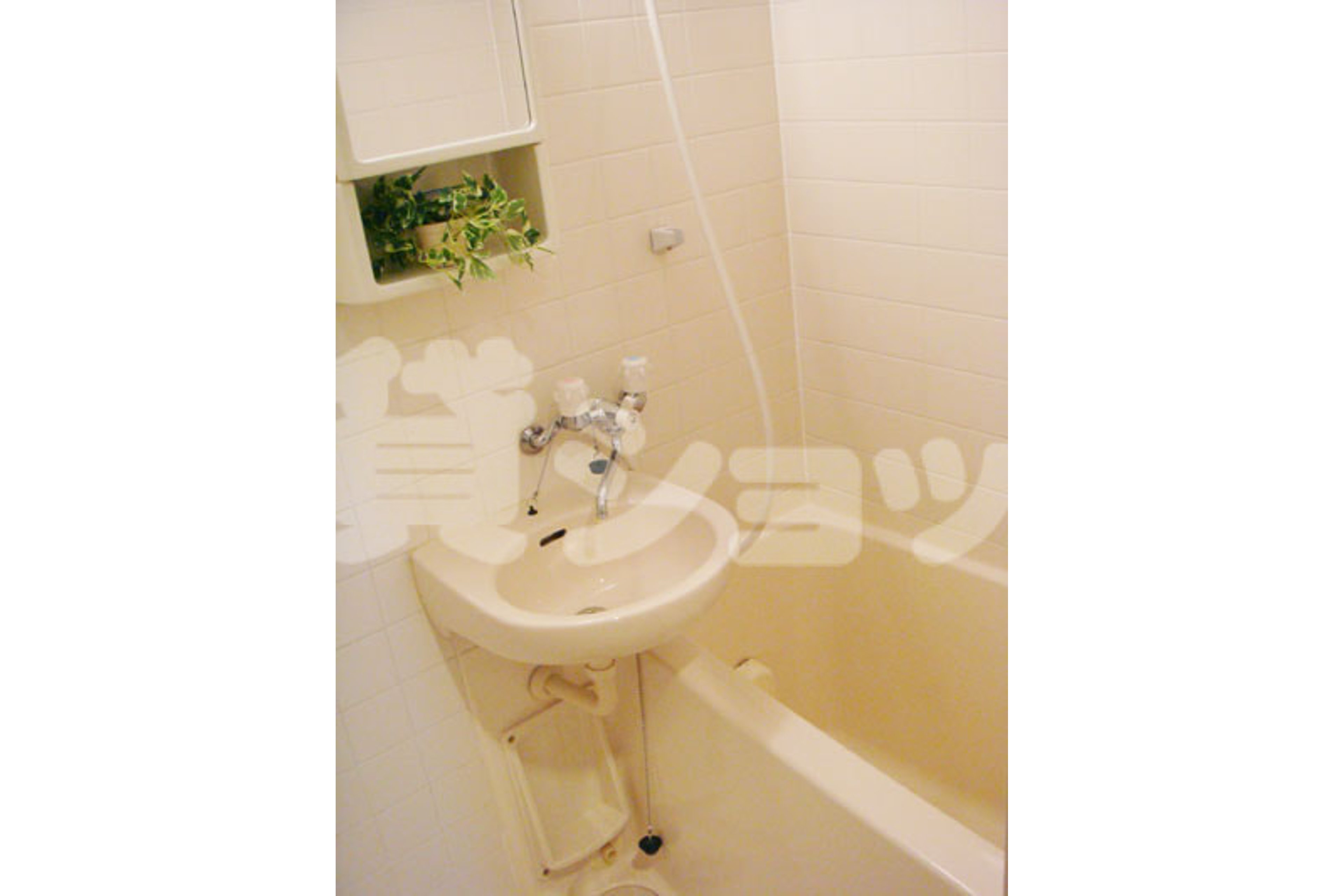 スタンダードタイプのイメージ