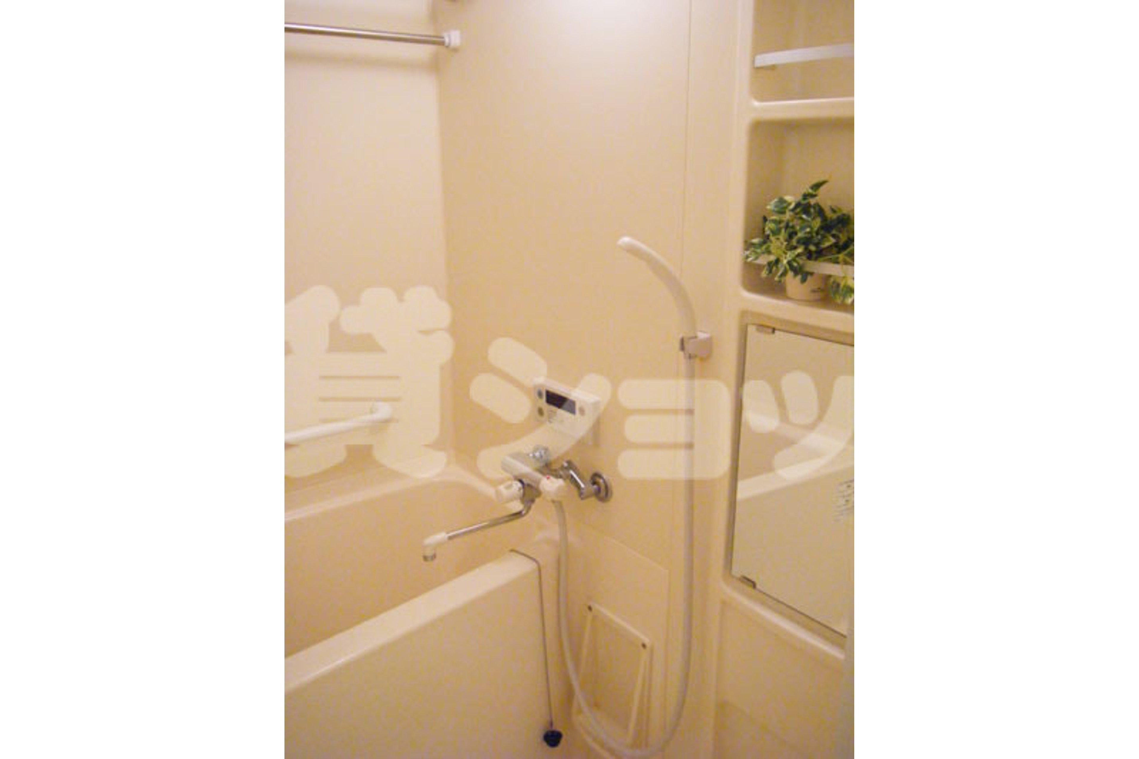 スタンダードタイプのイメージ