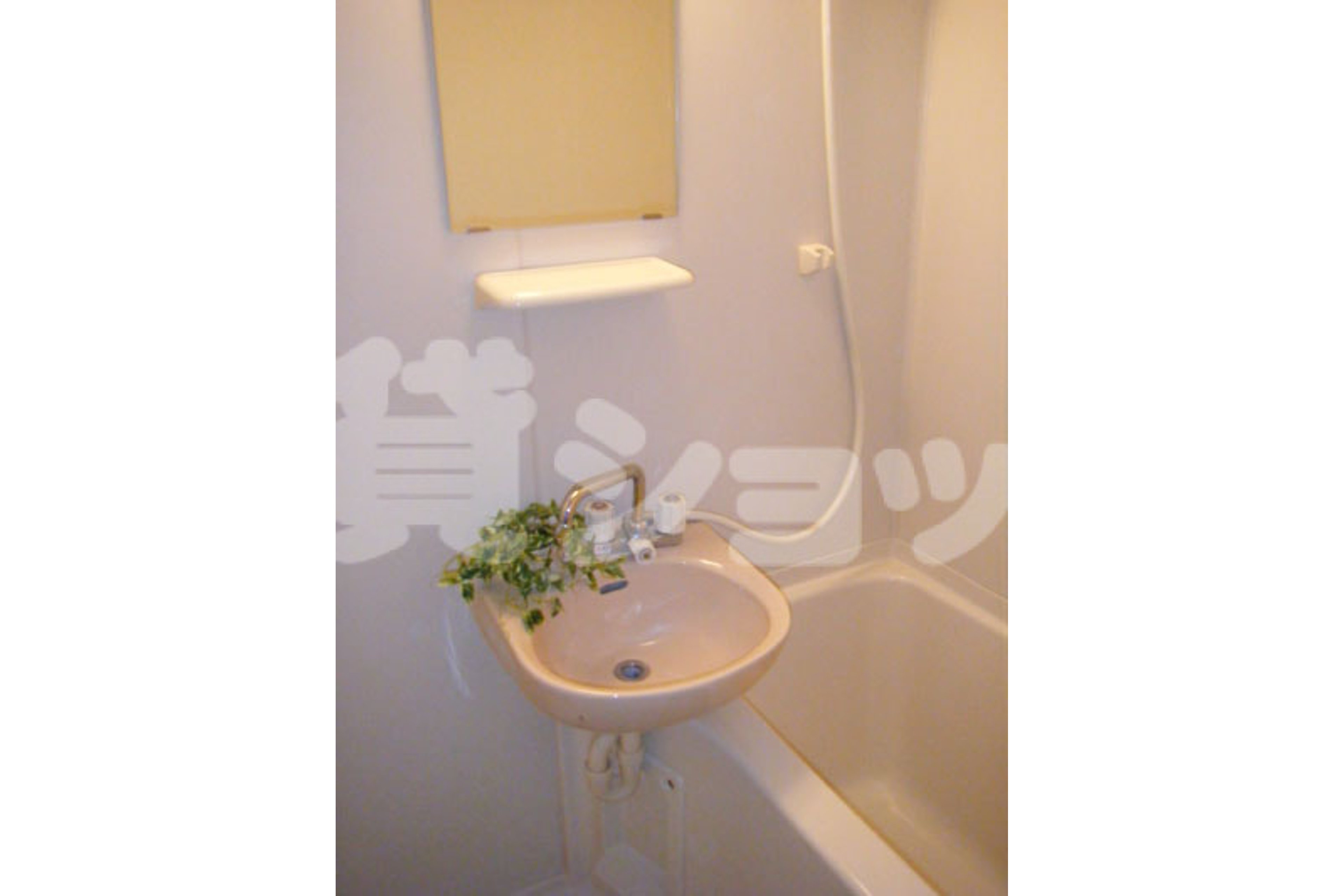 スタンダードタイプのイメージ