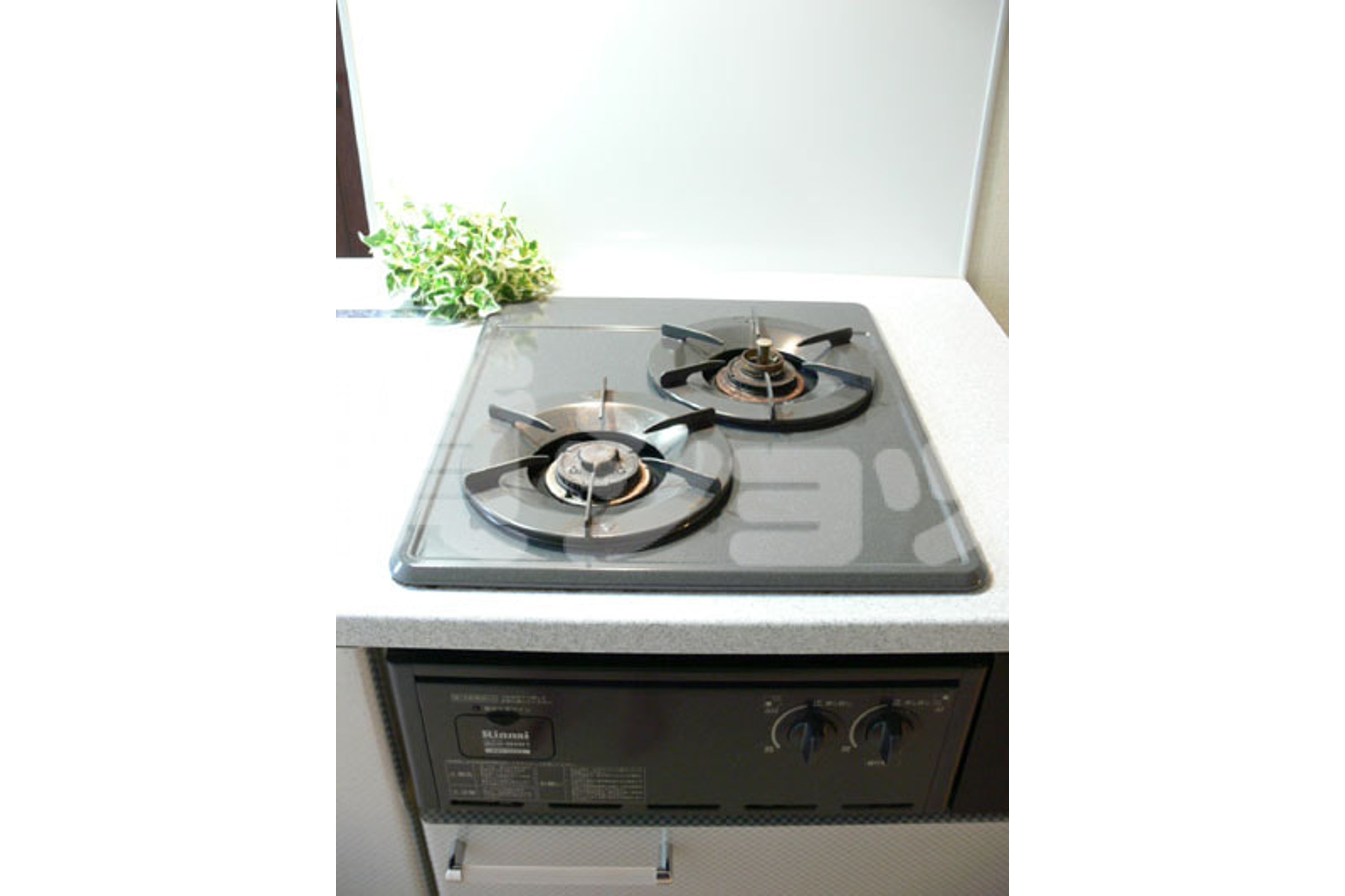 スタンダードタイプのイメージ