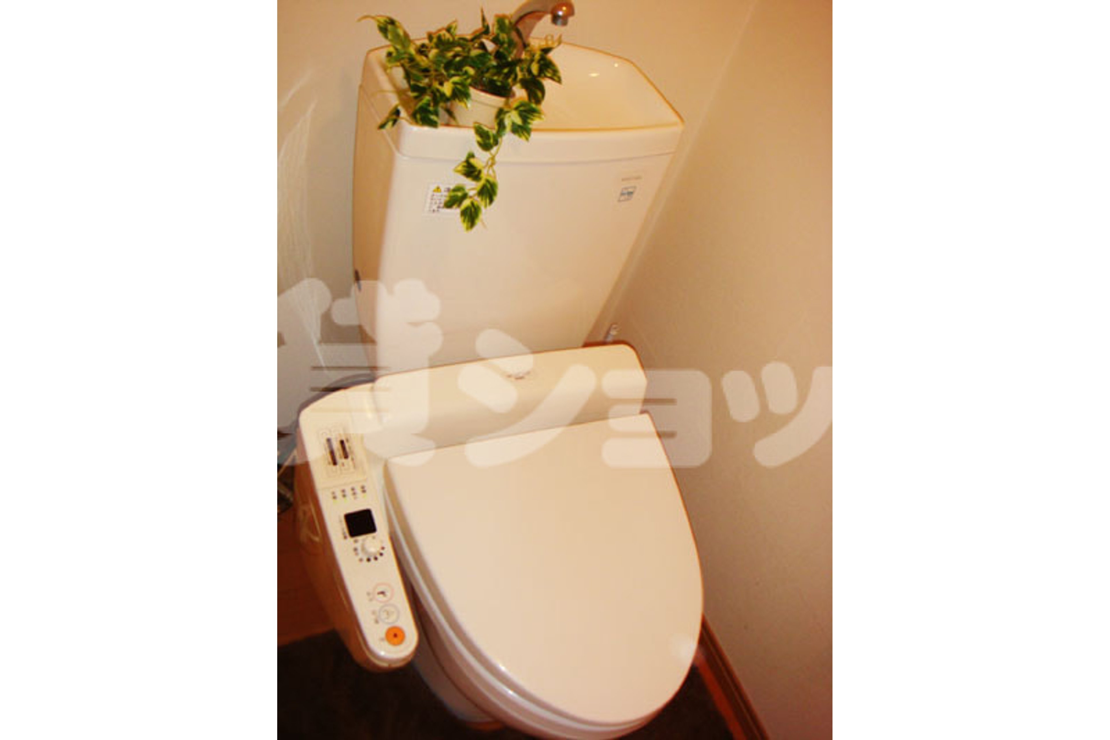 スタンダードタイプのイメージ