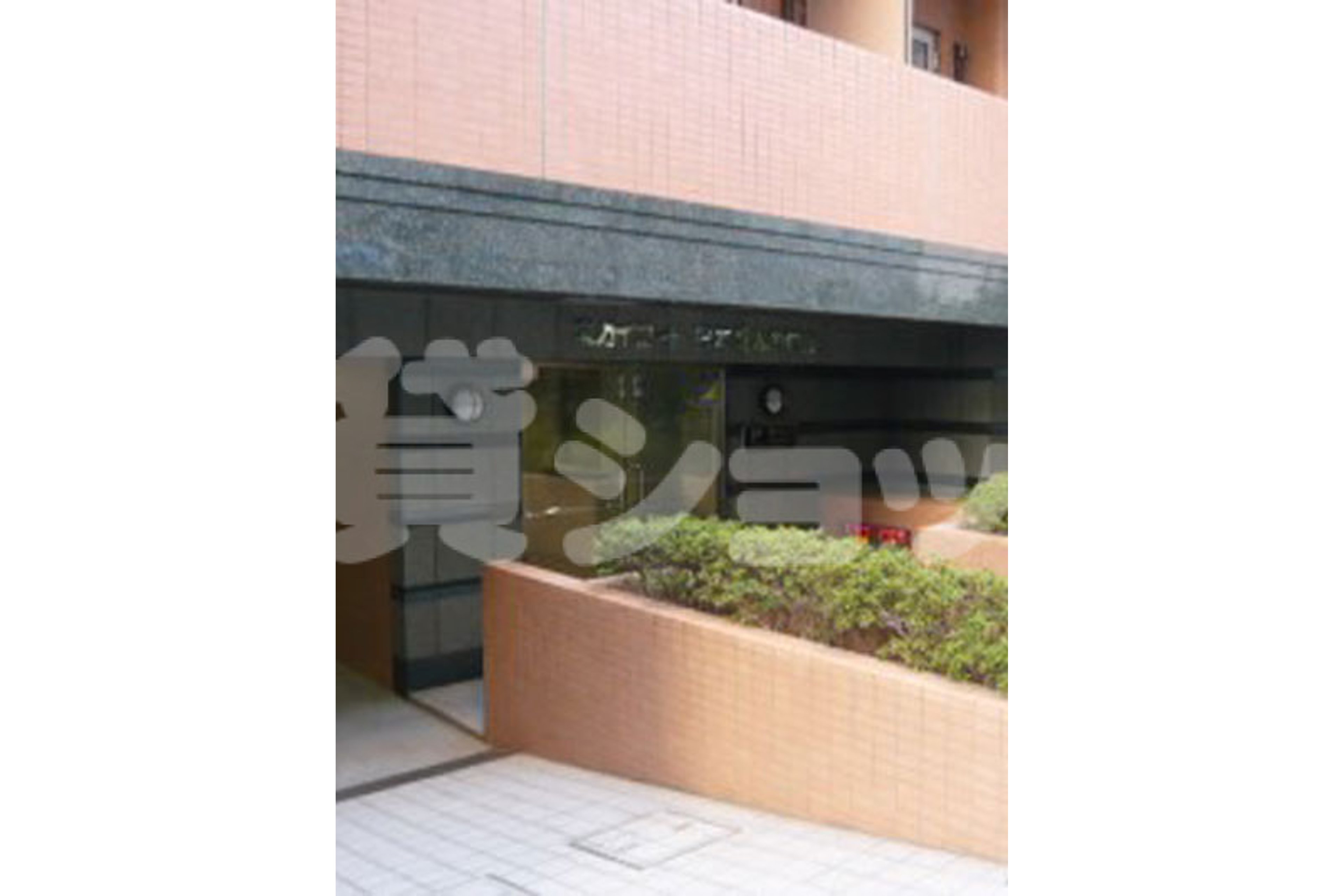 スタンダードタイプのイメージ