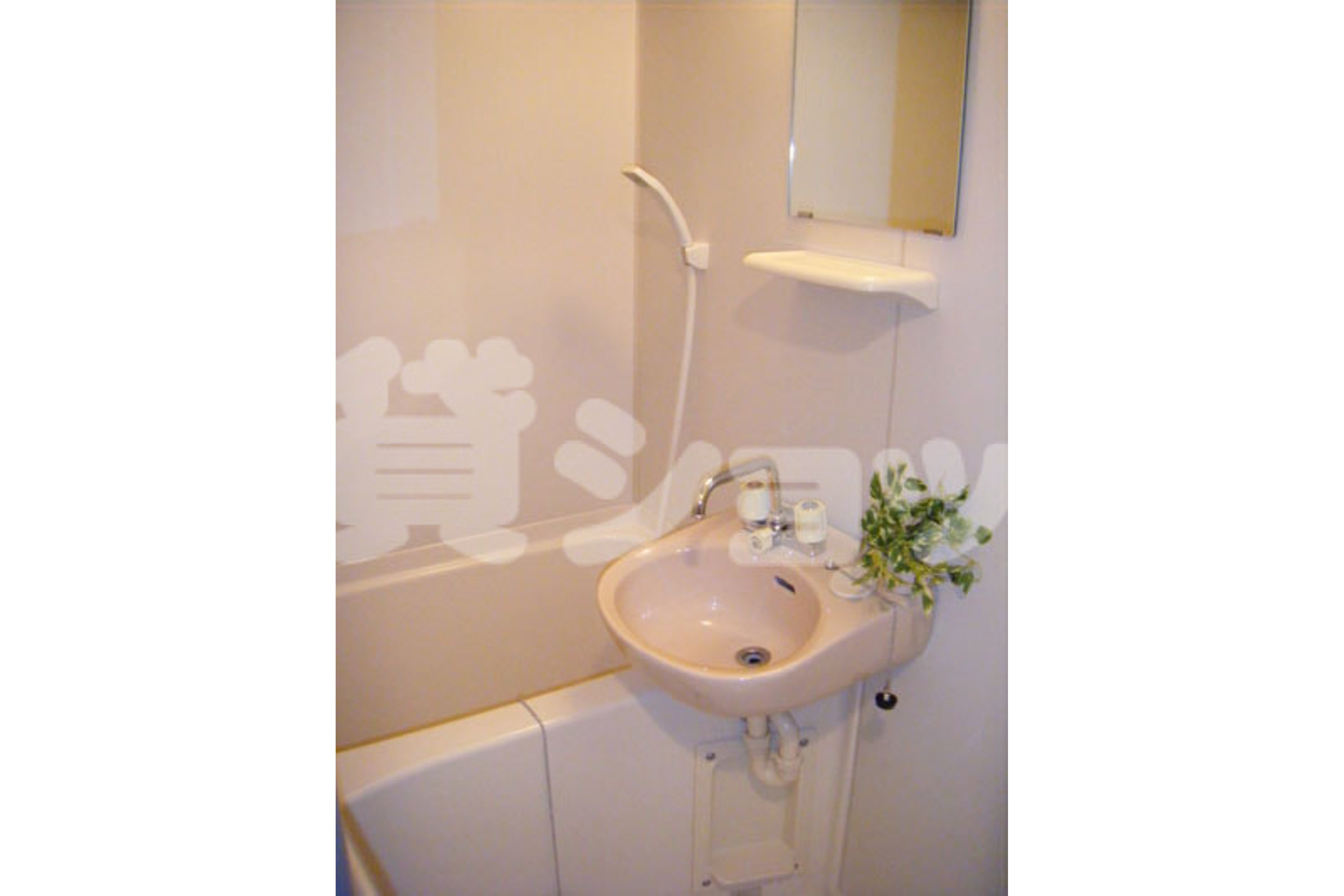 バリュータイプのイメージ