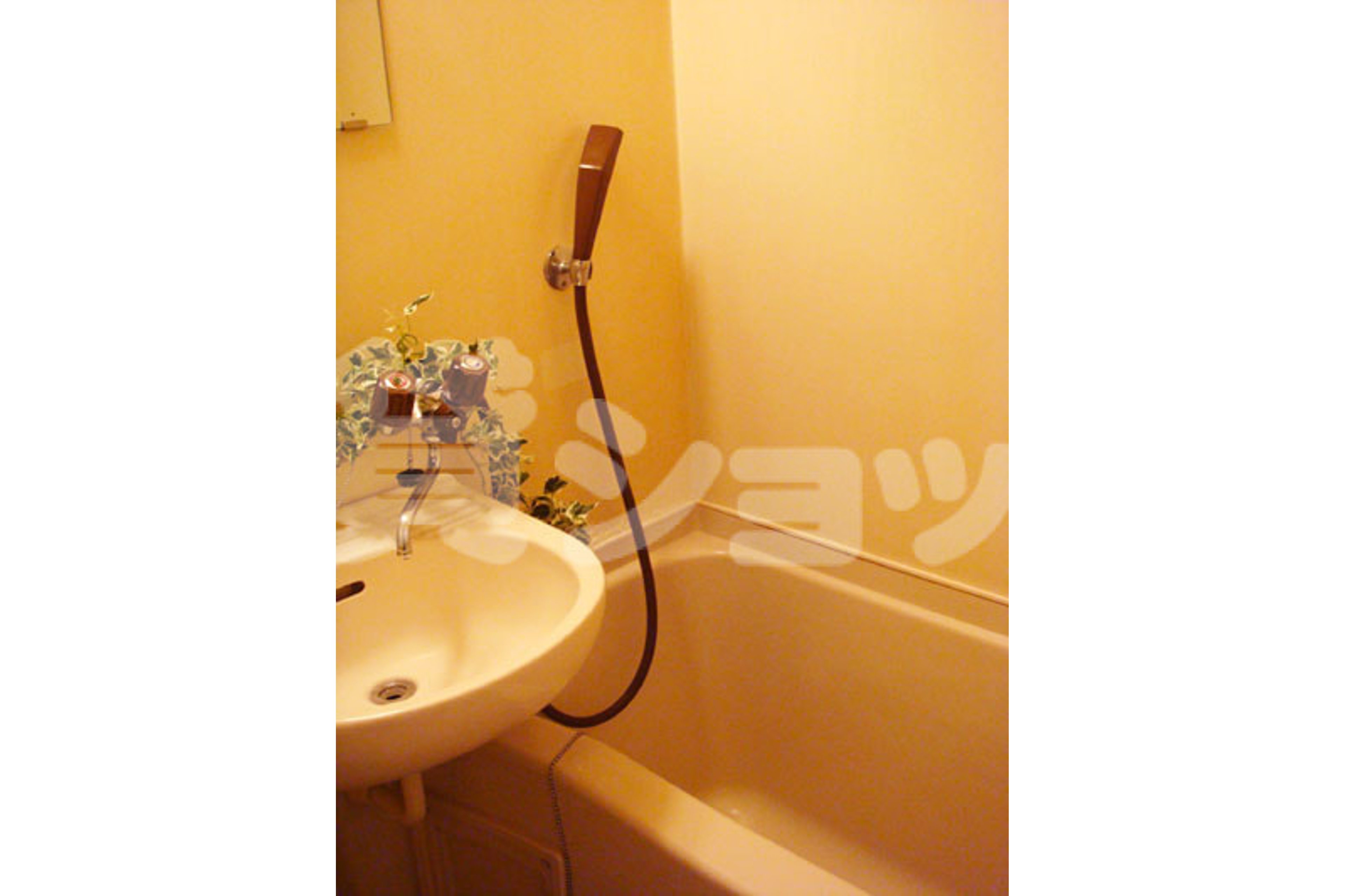 スタンダードタイプのイメージ