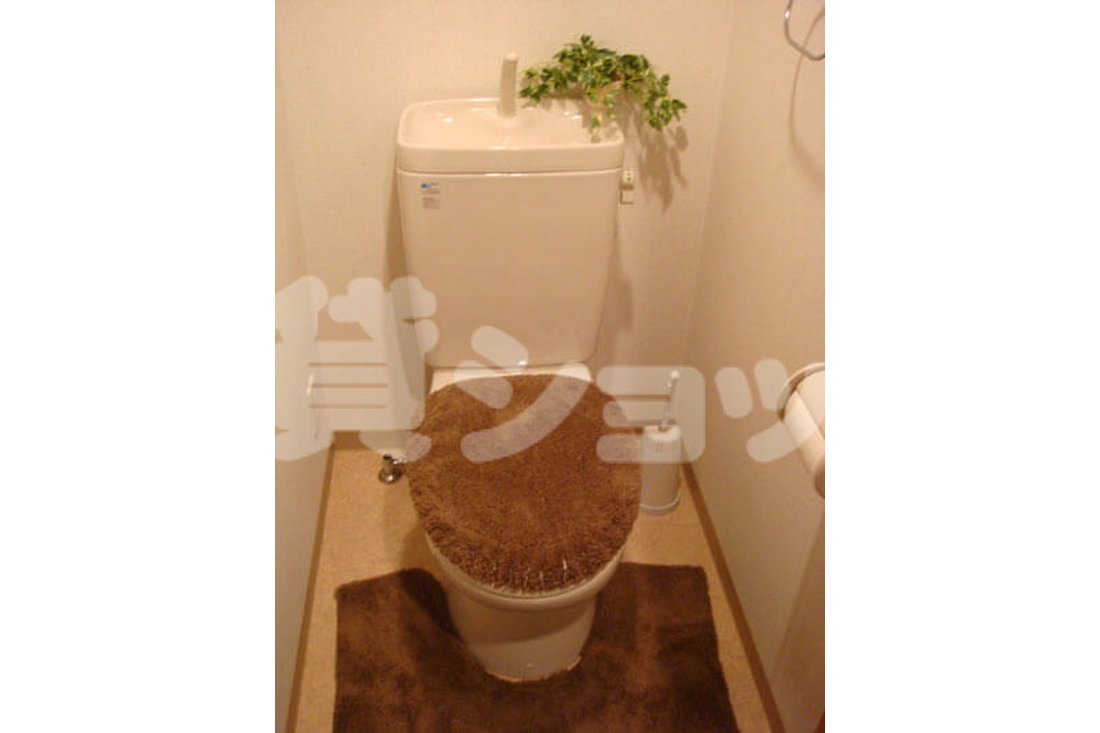 スタンダードタイプのイメージ