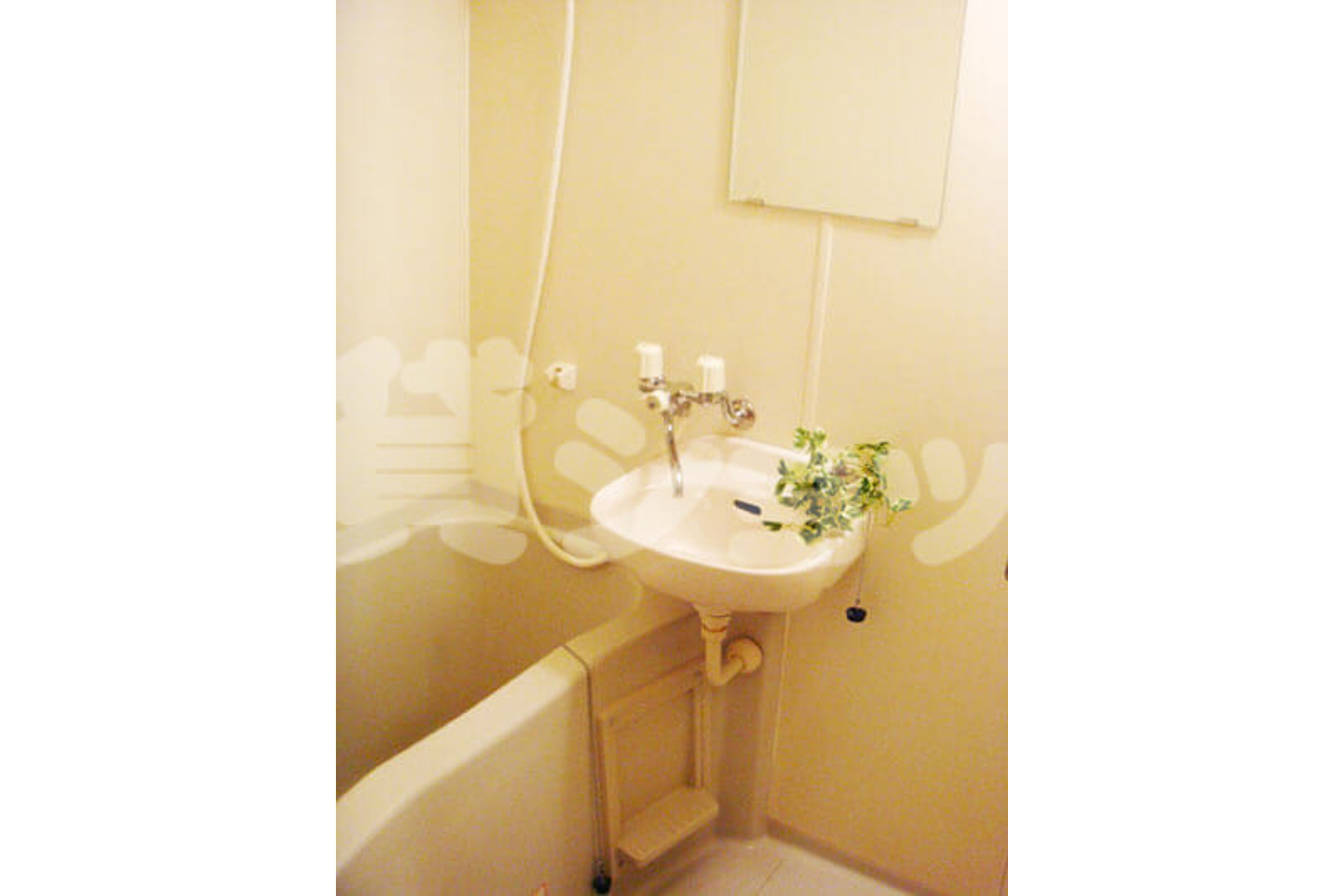 スタンダードタイプのイメージ