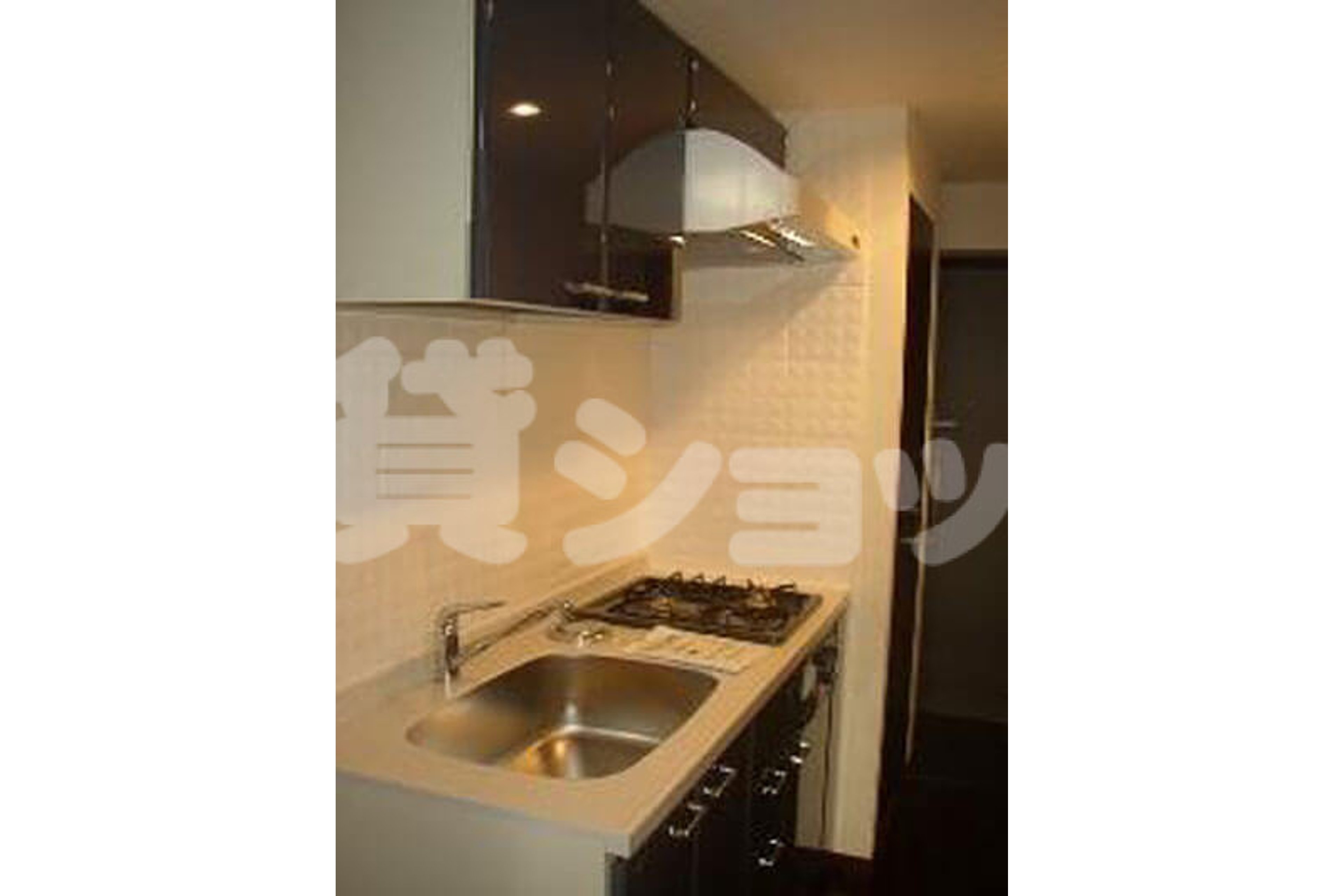 プラチナタイプのイメージ