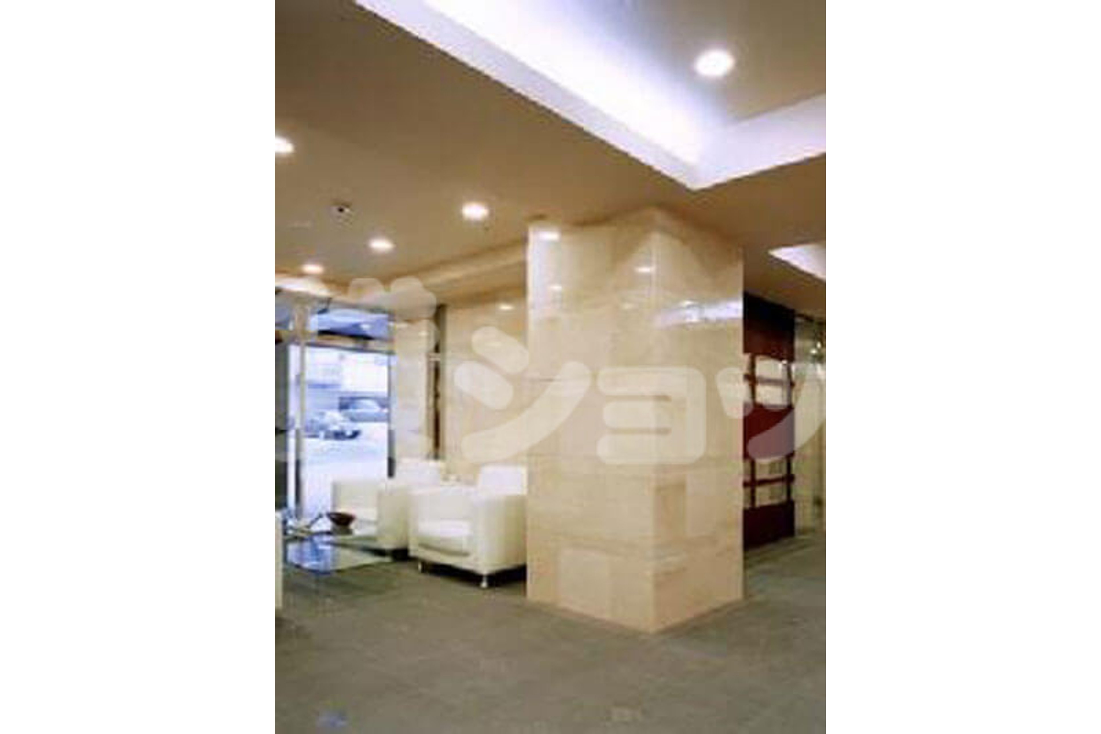 プラチナタイプのイメージ