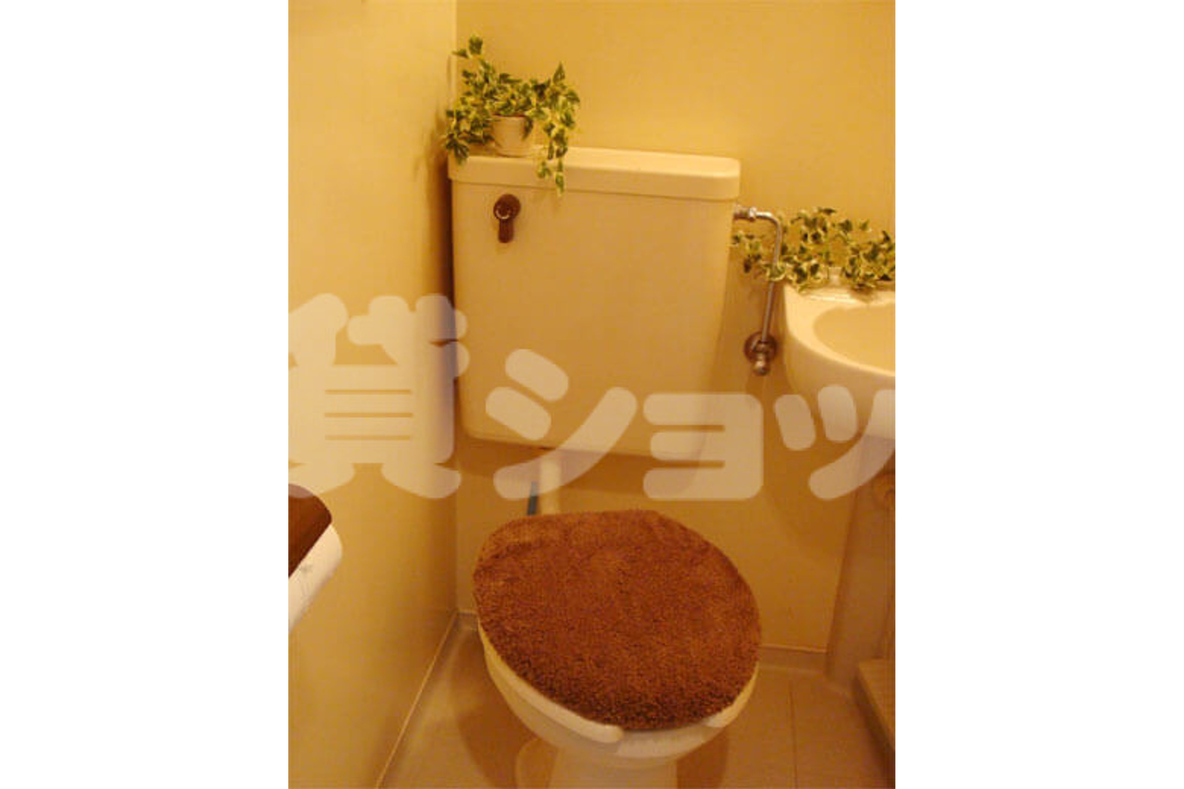 バリュータイプのイメージ