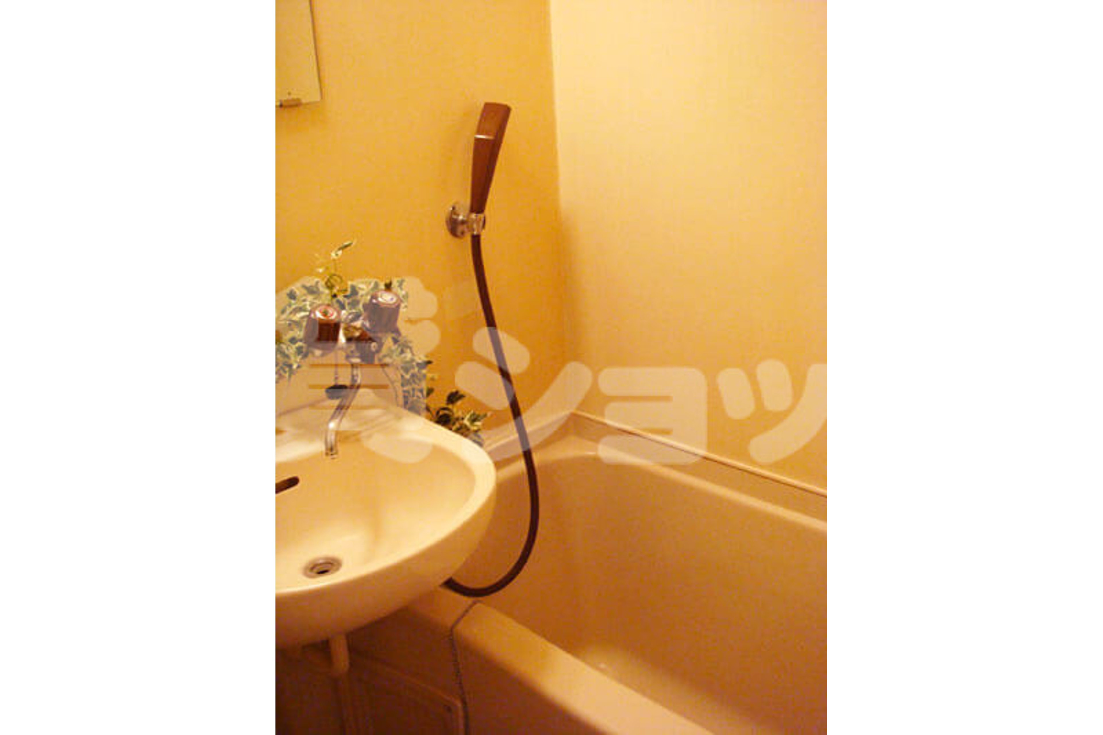 バリュータイプのイメージ