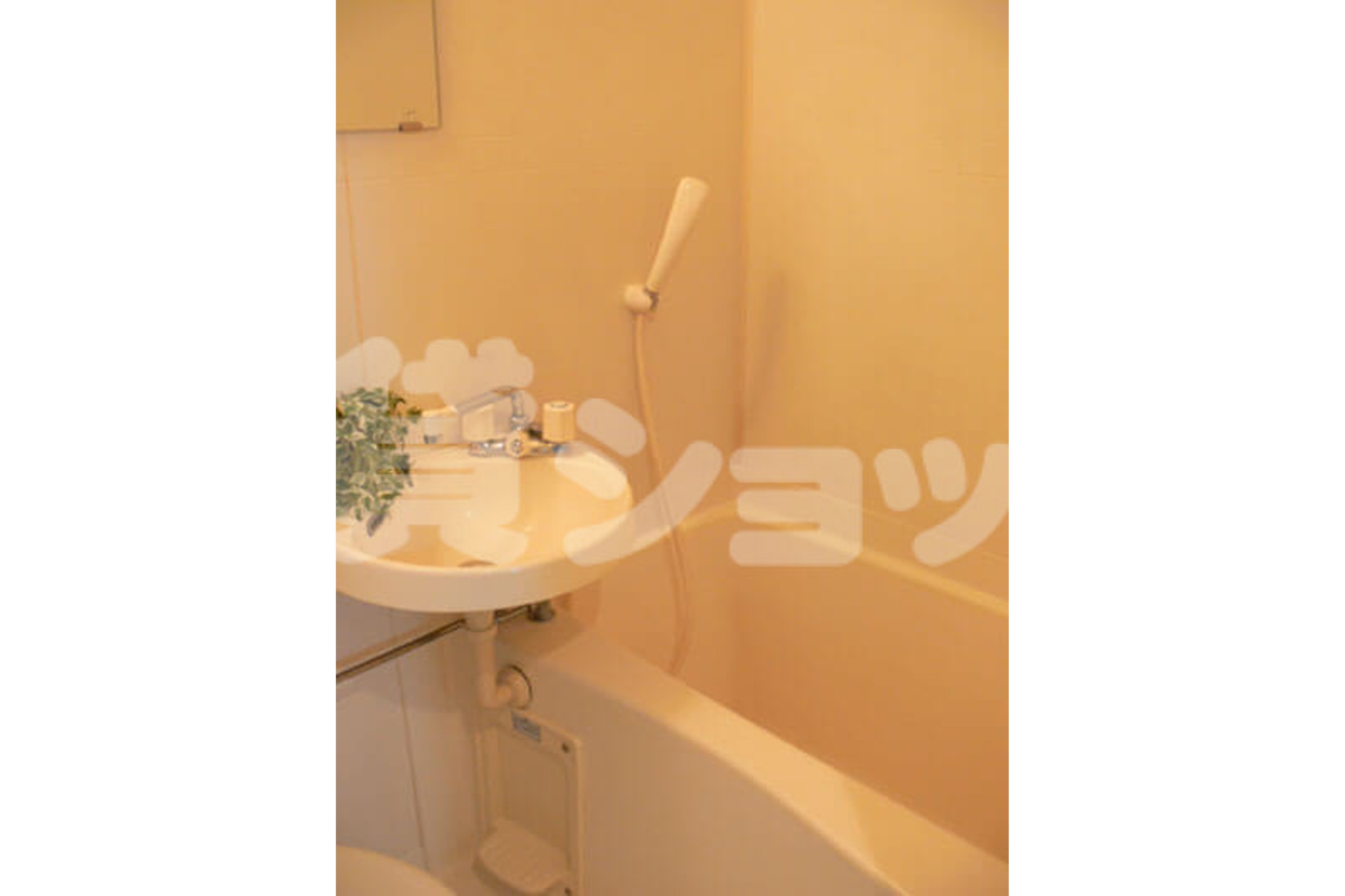 スタンダードタイプのイメージ