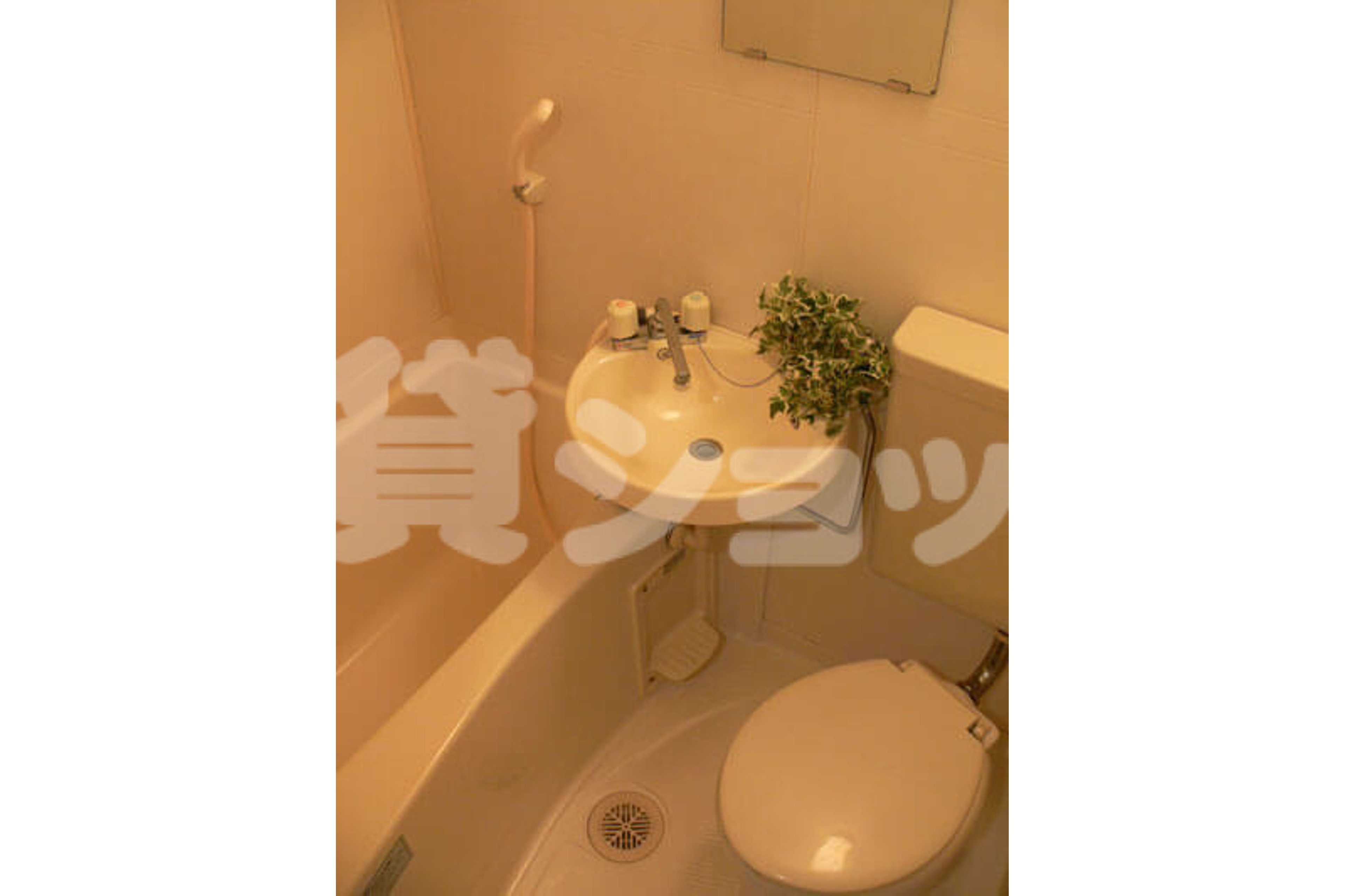 バリュータイプのイメージ