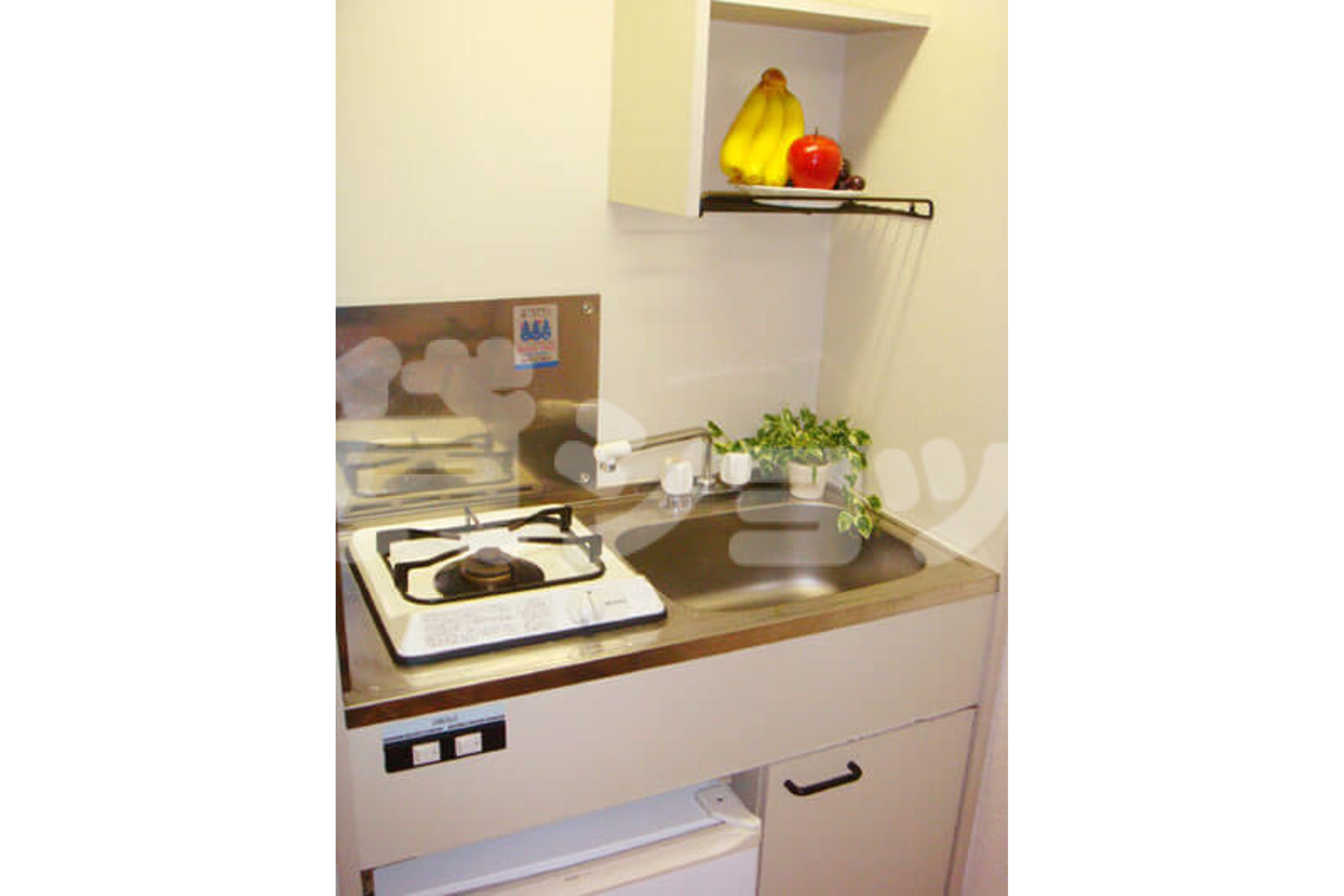 スタンダードタイプのイメージ