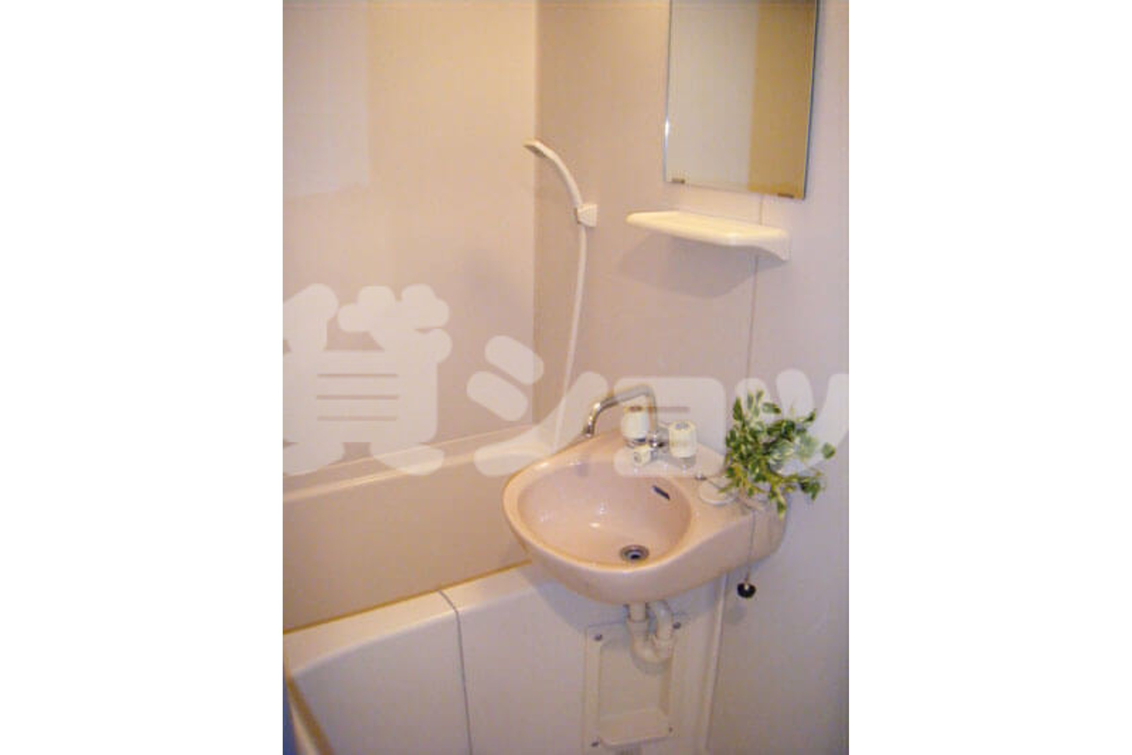 スタンダードタイプのイメージ