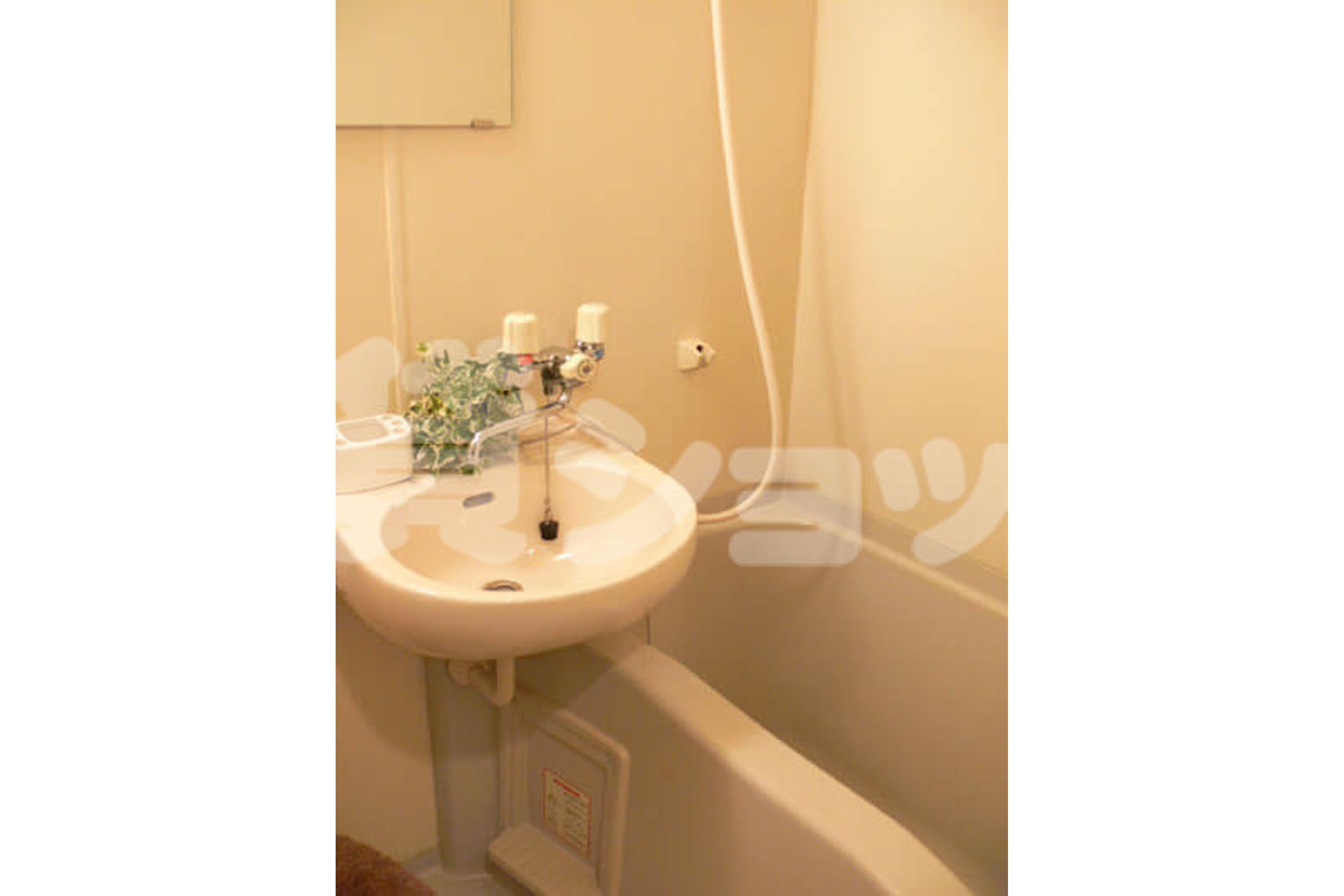 バリュータイプのイメージ