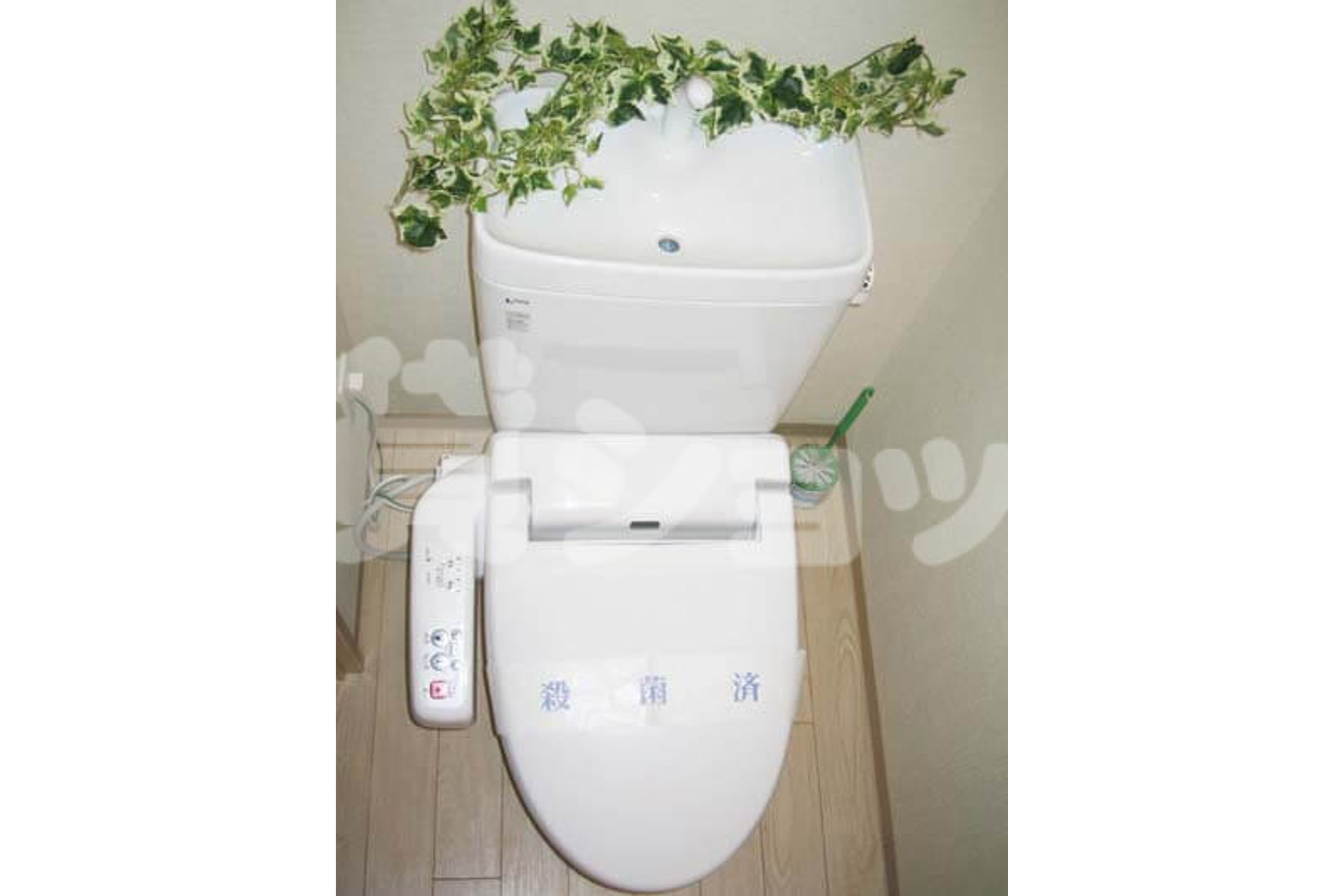 スタンダードタイプのイメージ