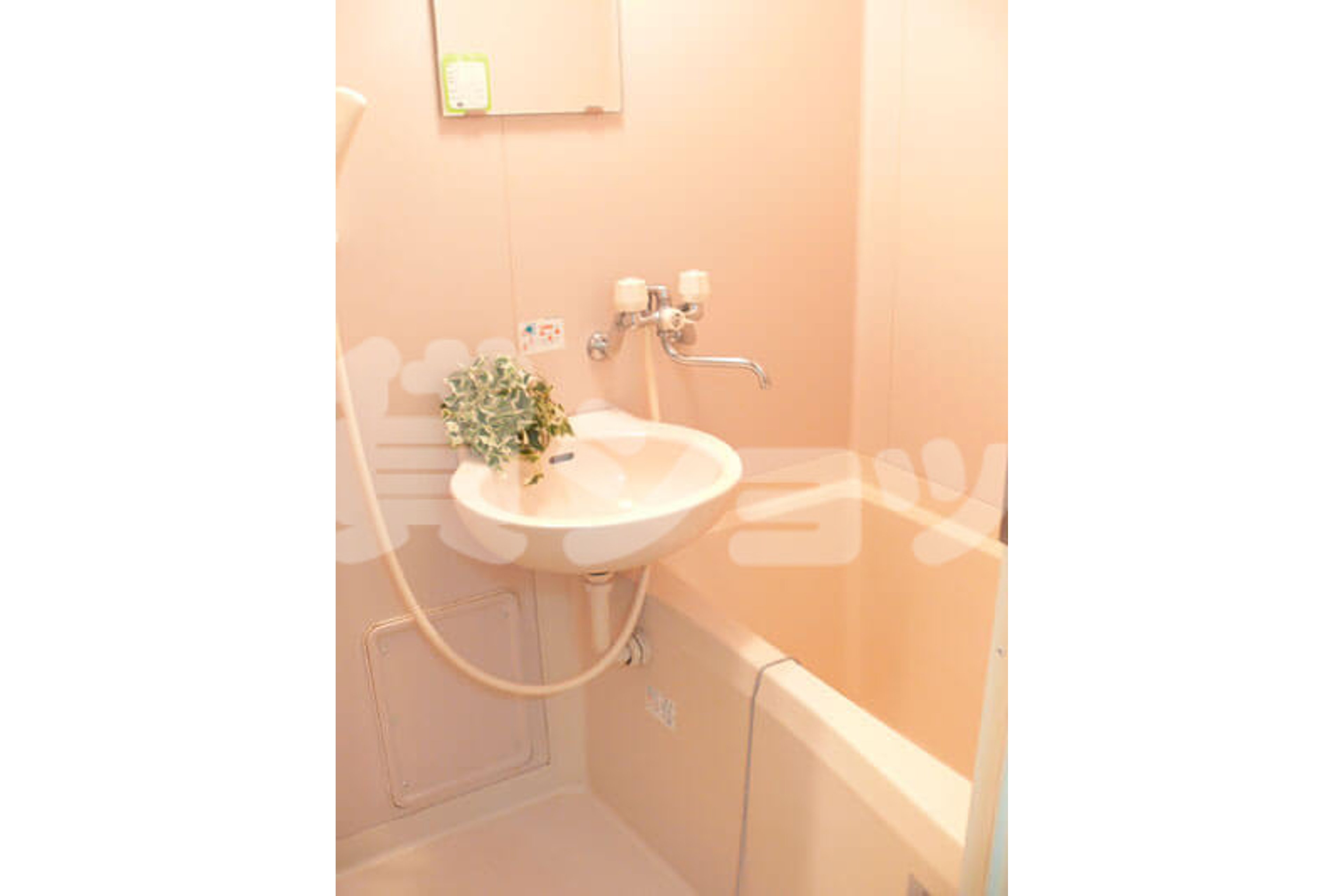 スタンダードタイプのイメージ