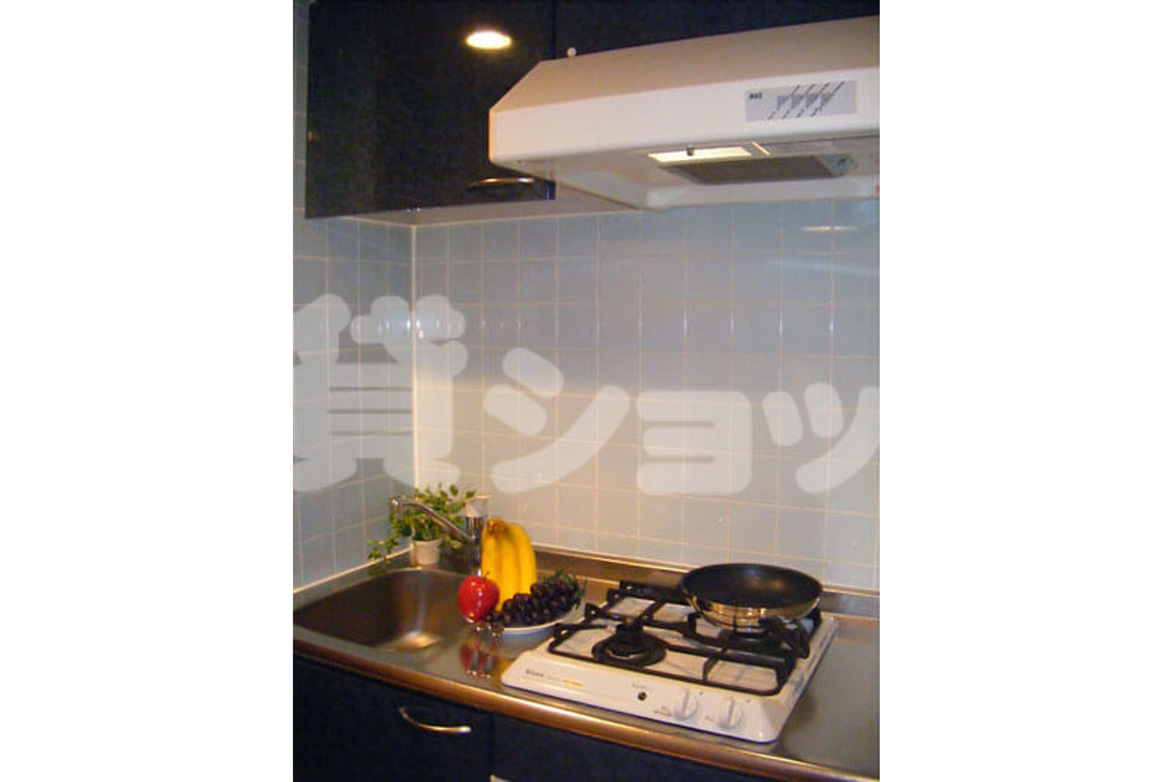 スタンダードタイプのイメージ