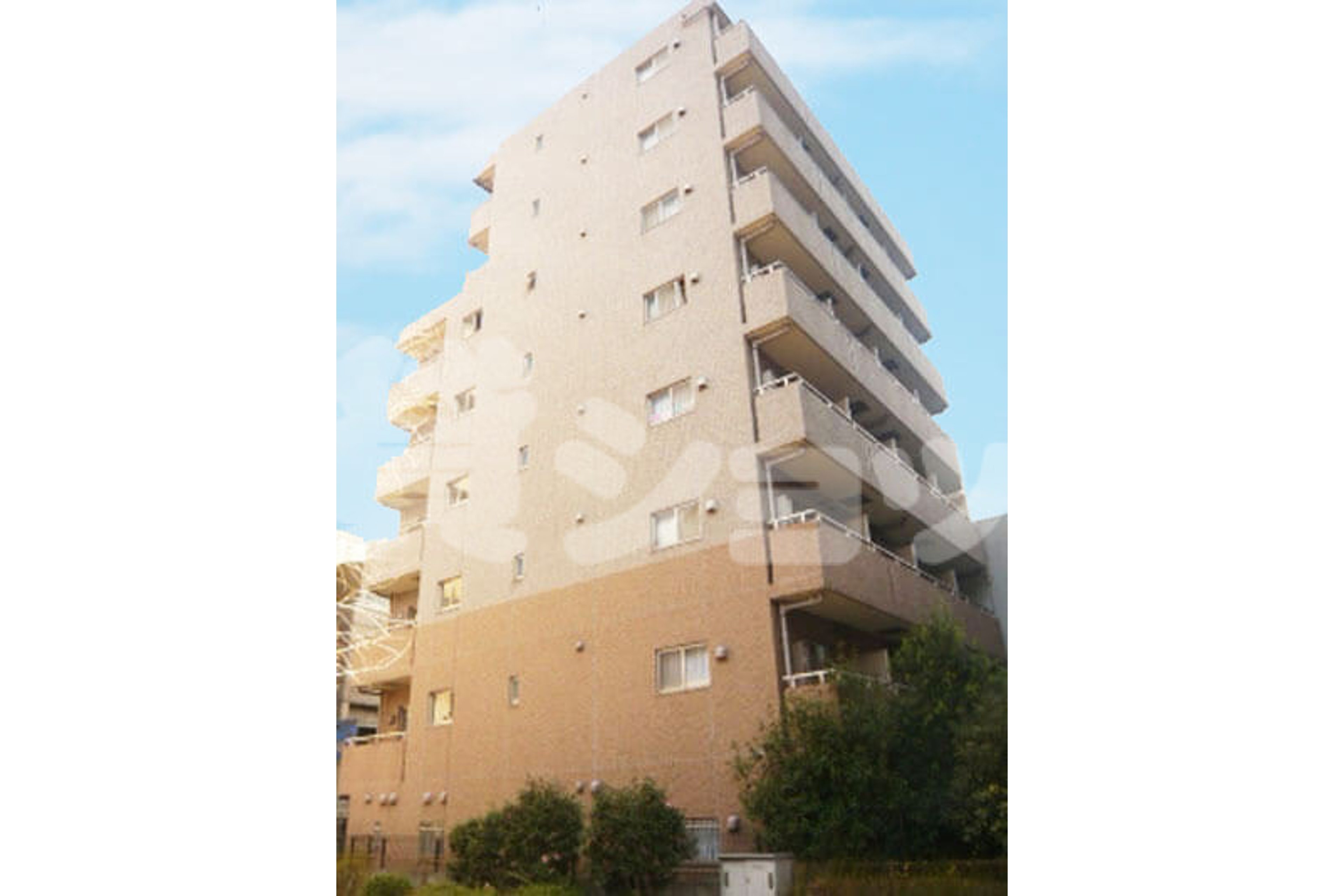 スタンダードタイプのイメージ