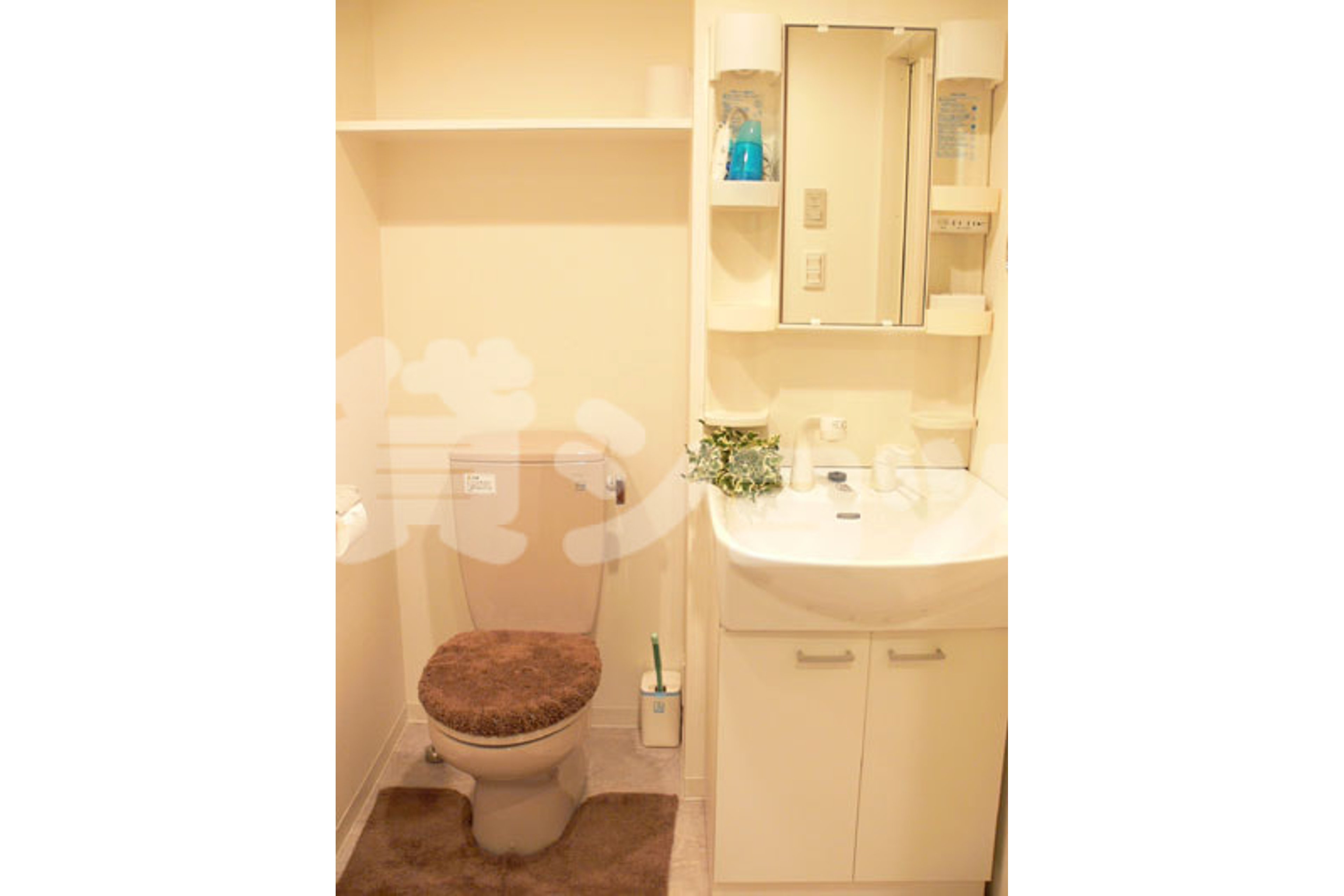 スタンダードタイプのイメージ