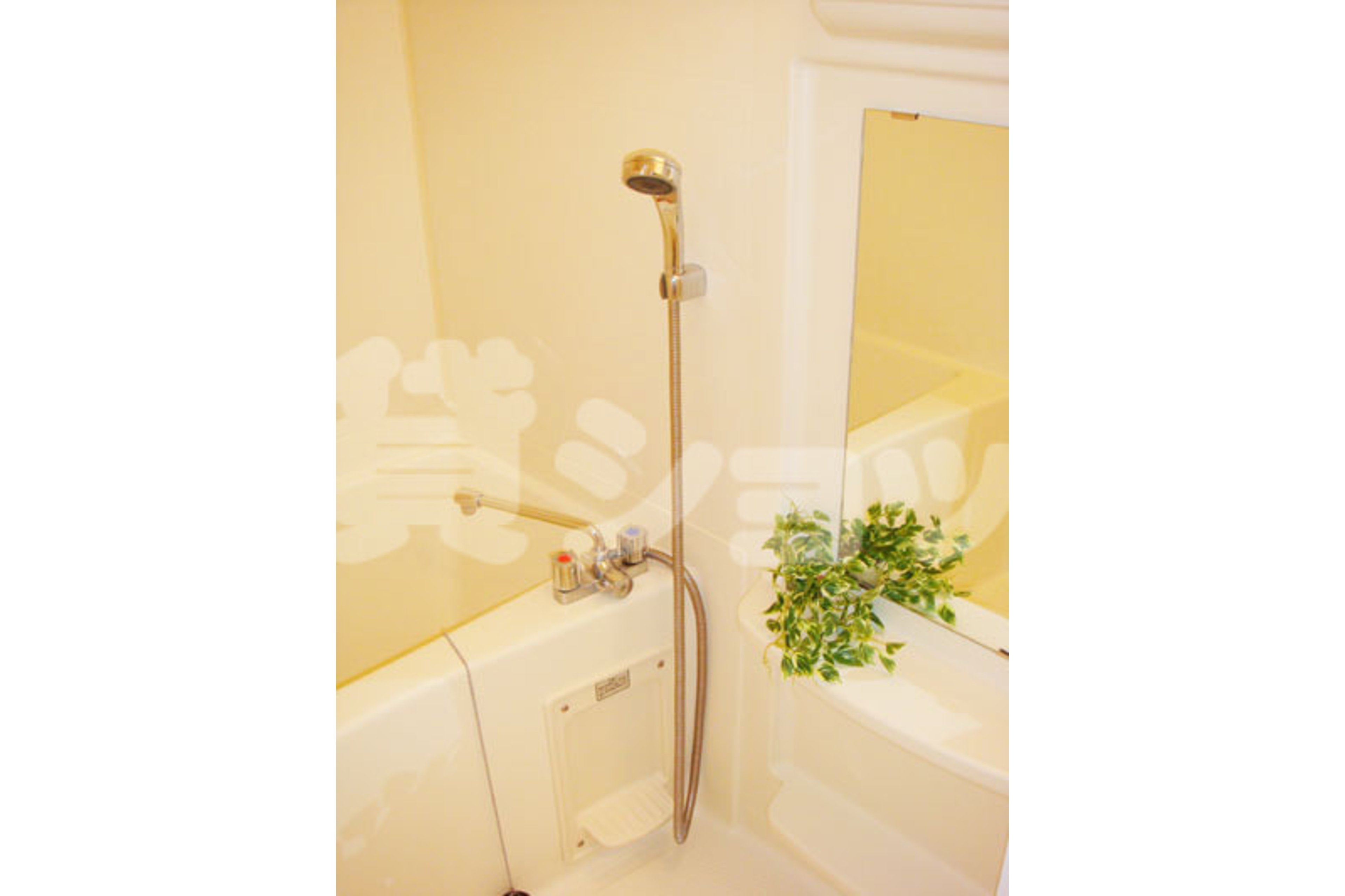 スタンダードタイプのイメージ