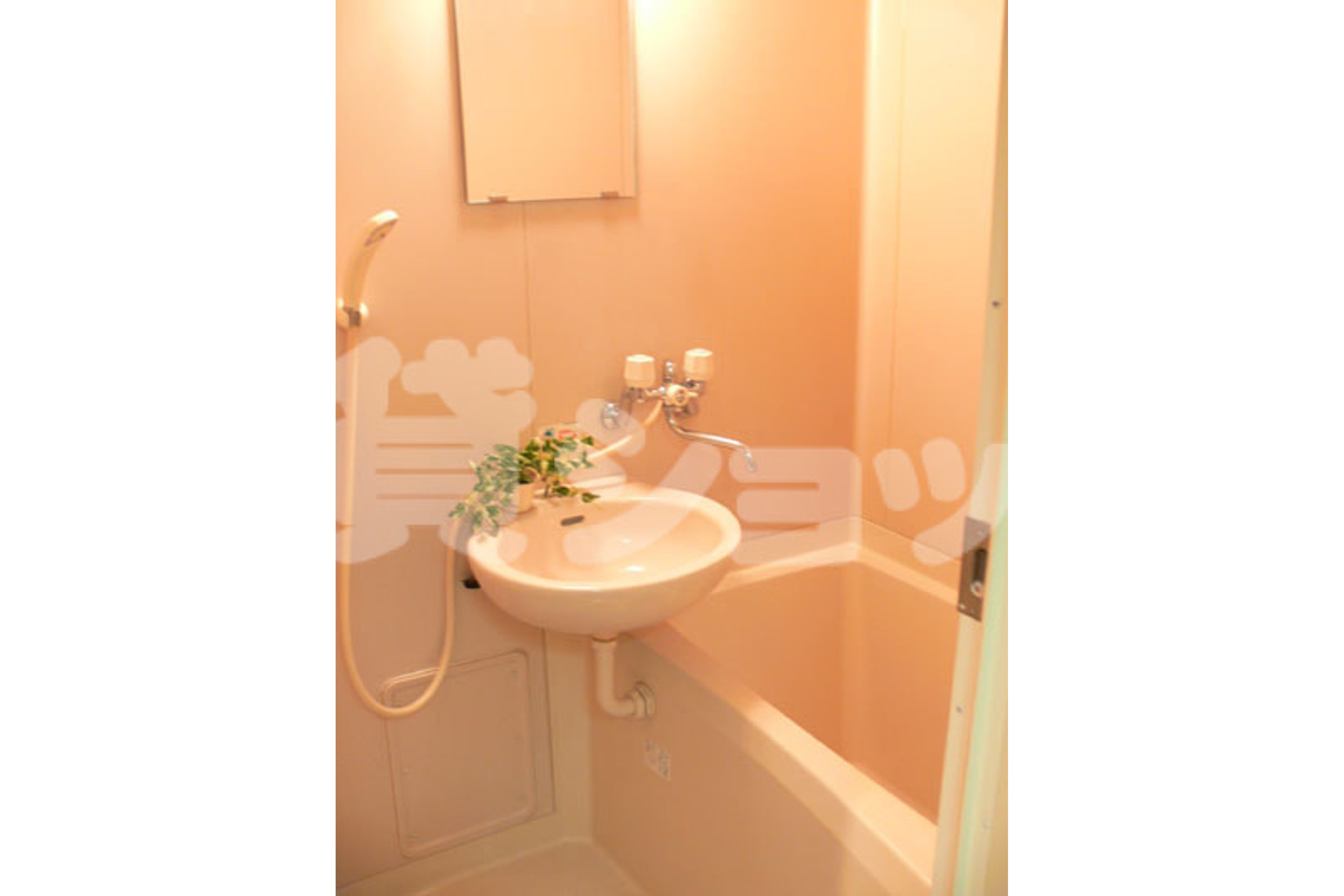 スタンダードタイプのイメージ