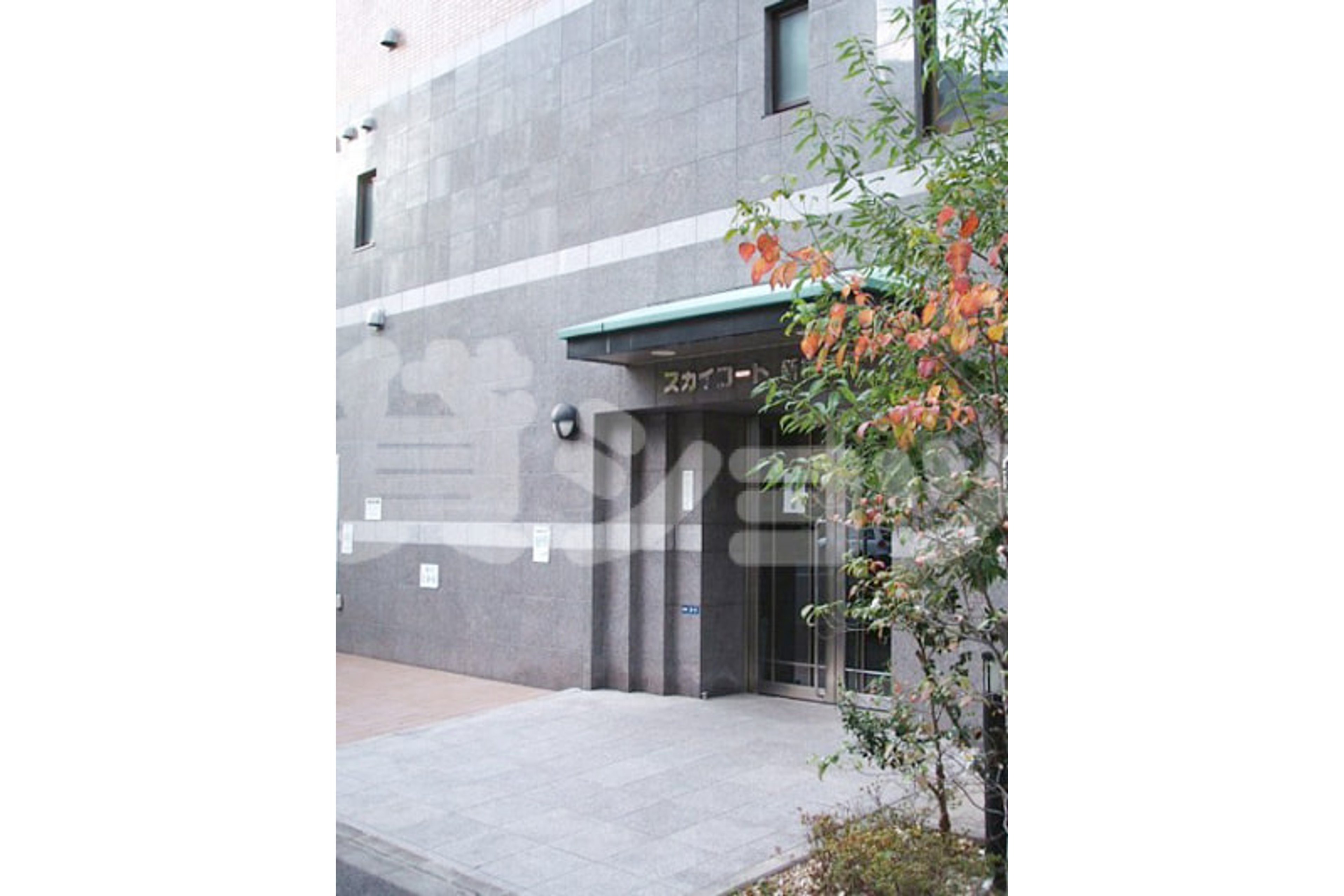 スタンダードタイプのイメージ