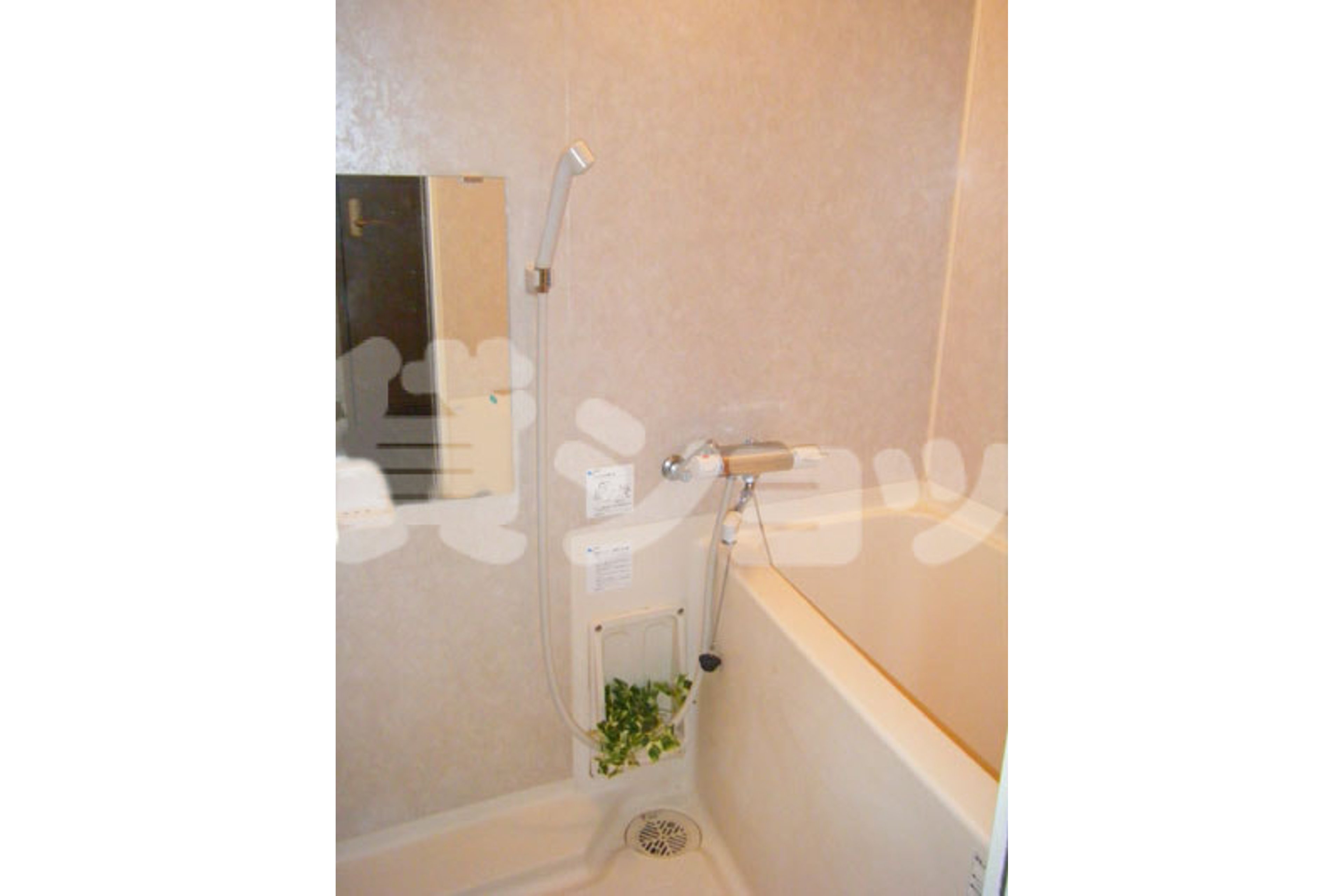 プラチナタイプのイメージ