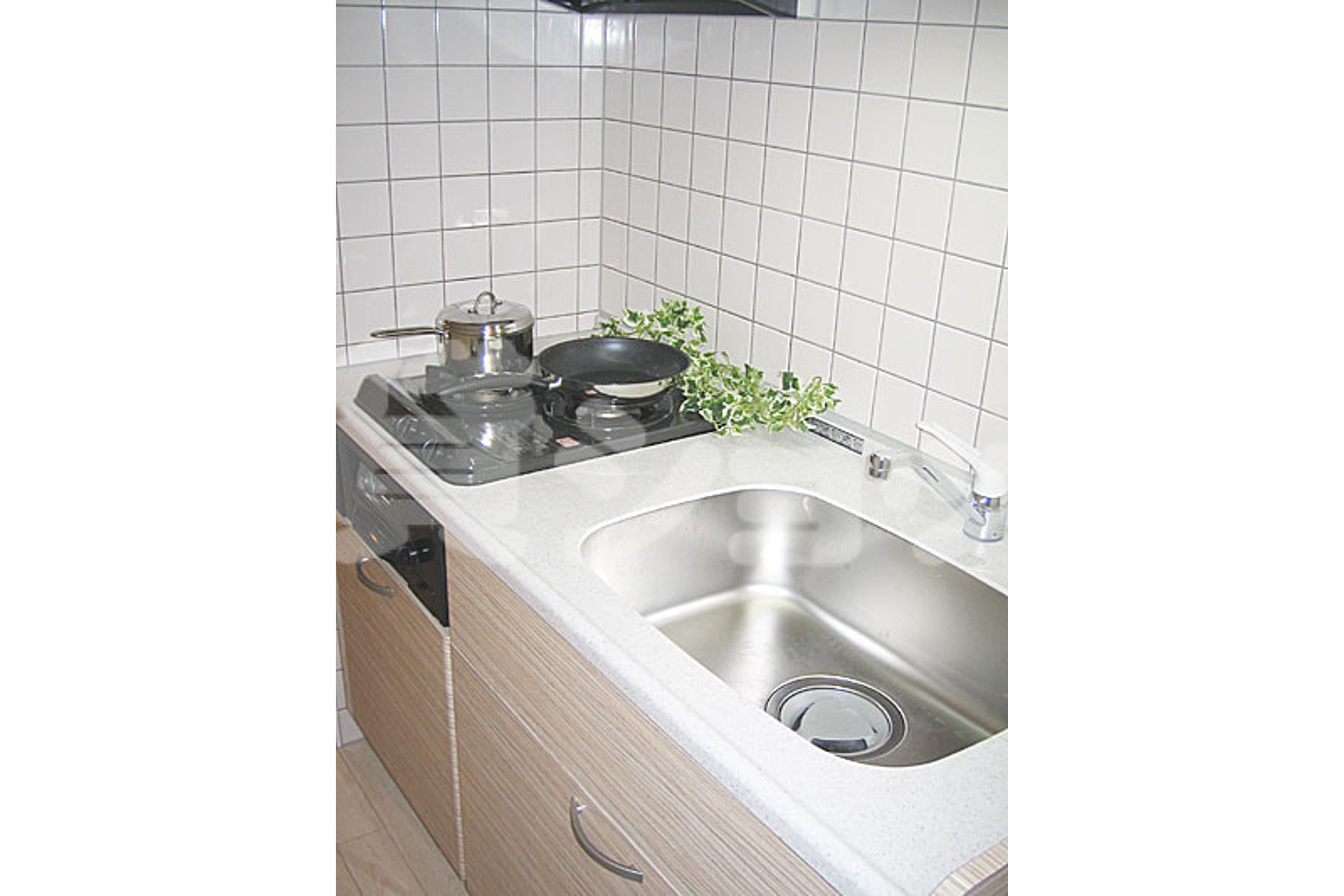 プラチナタイプのイメージ