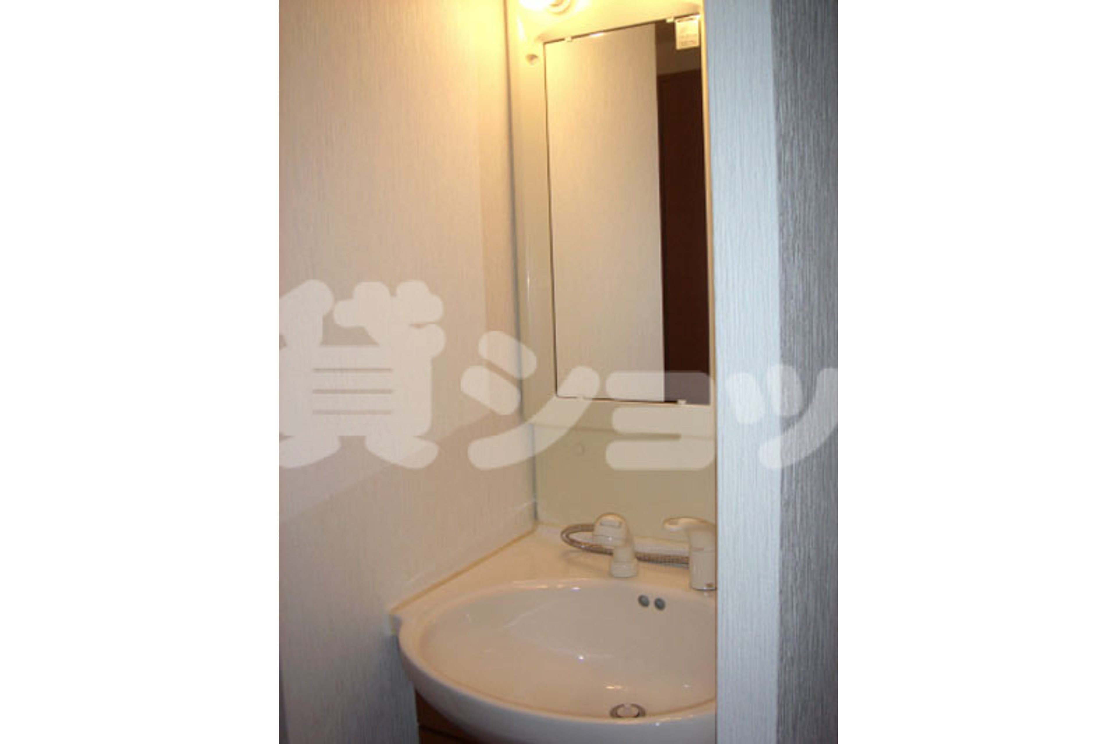 プラチナタイプのイメージ