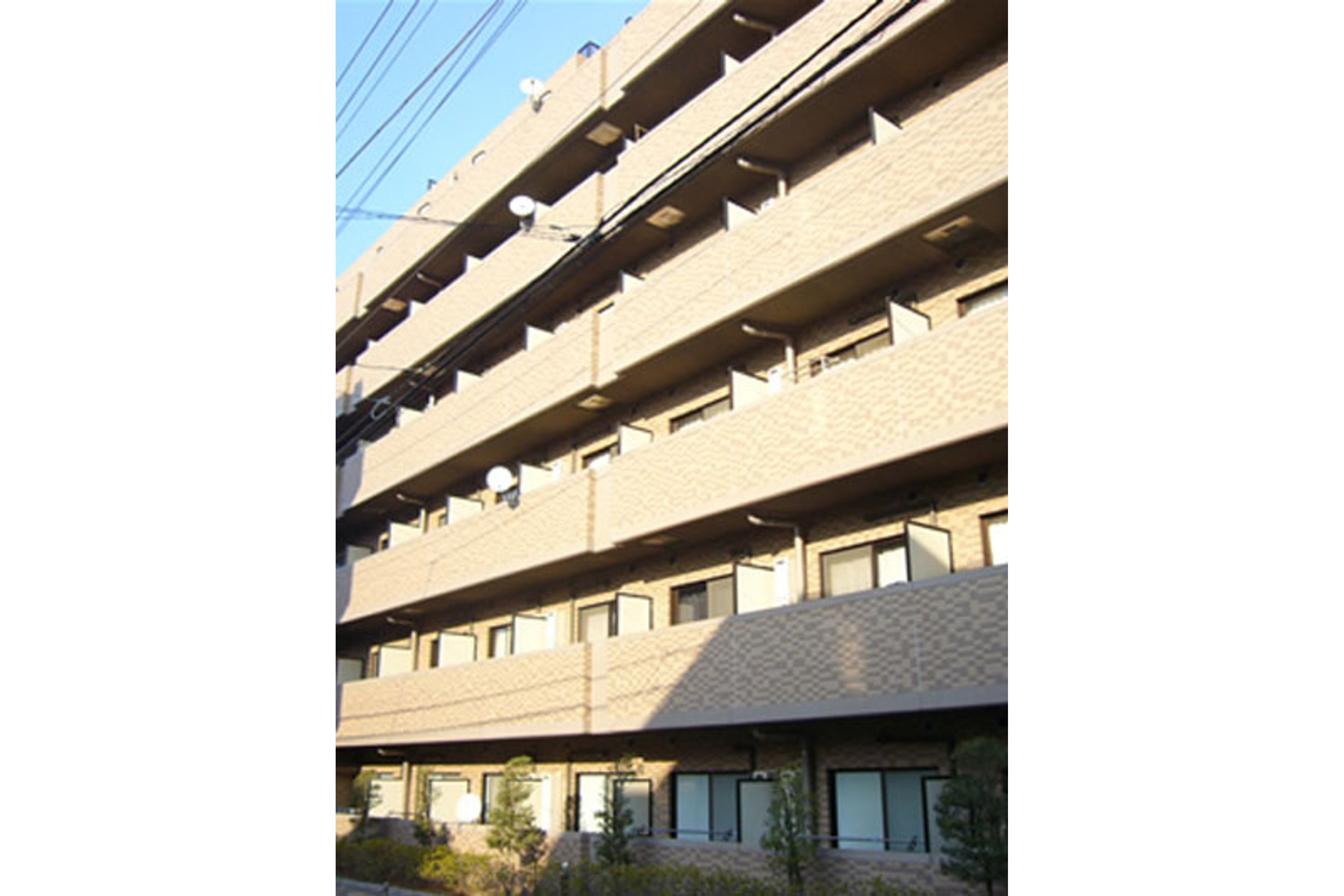 プラチナタイプのイメージ