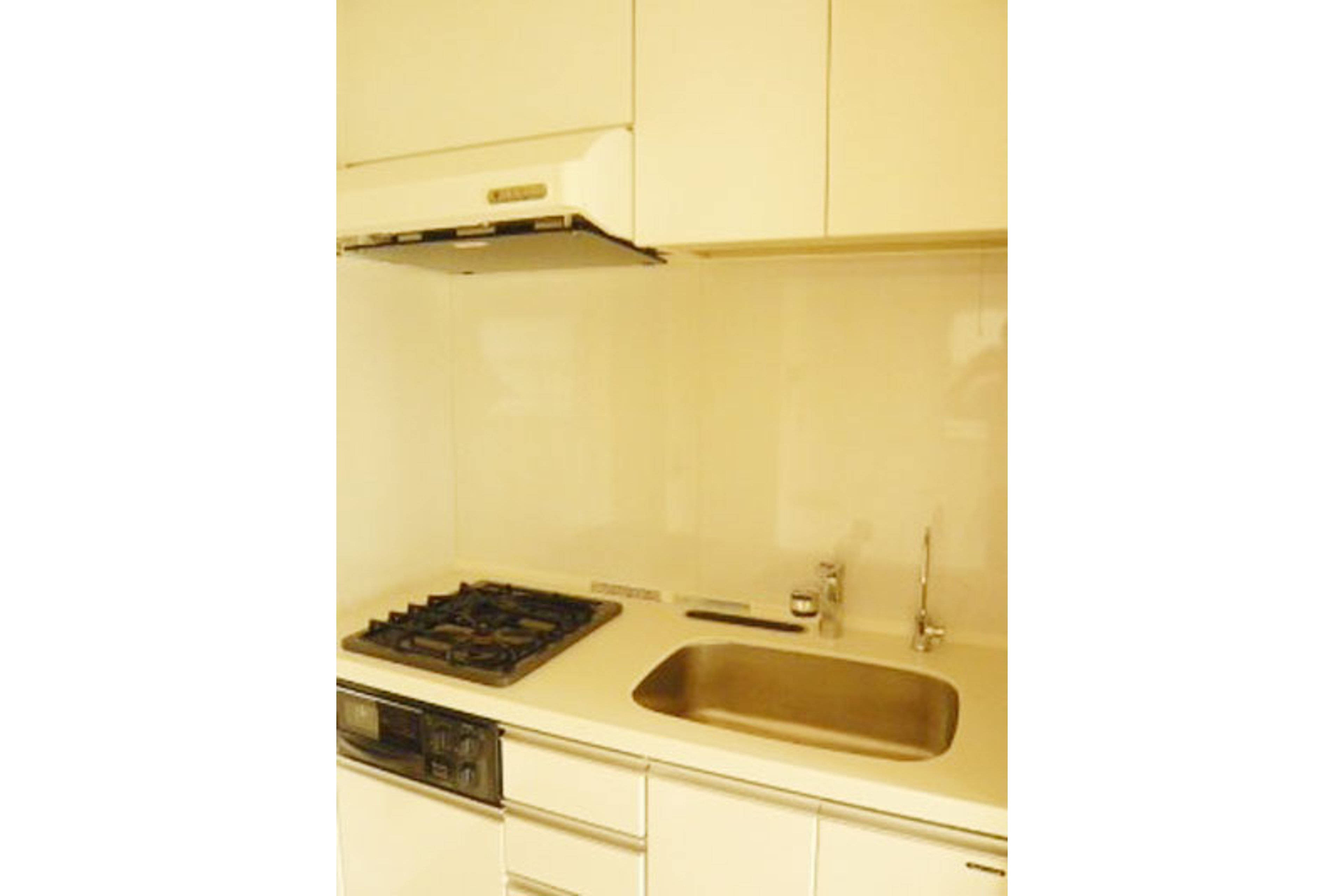 スタンダードタイプのイメージ