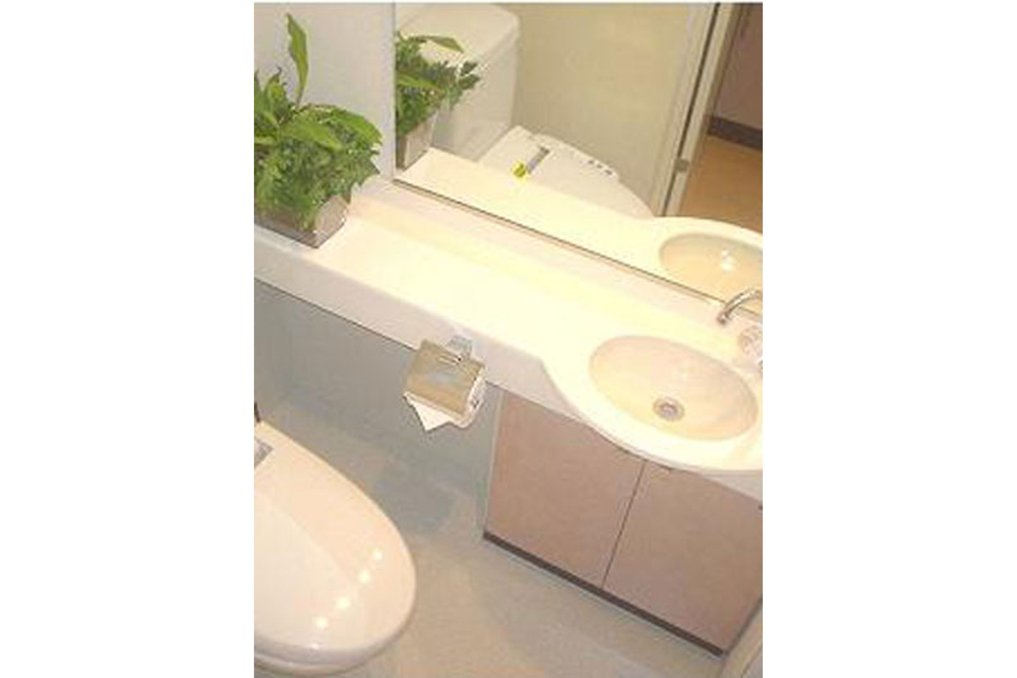 プラチナタイプのイメージ