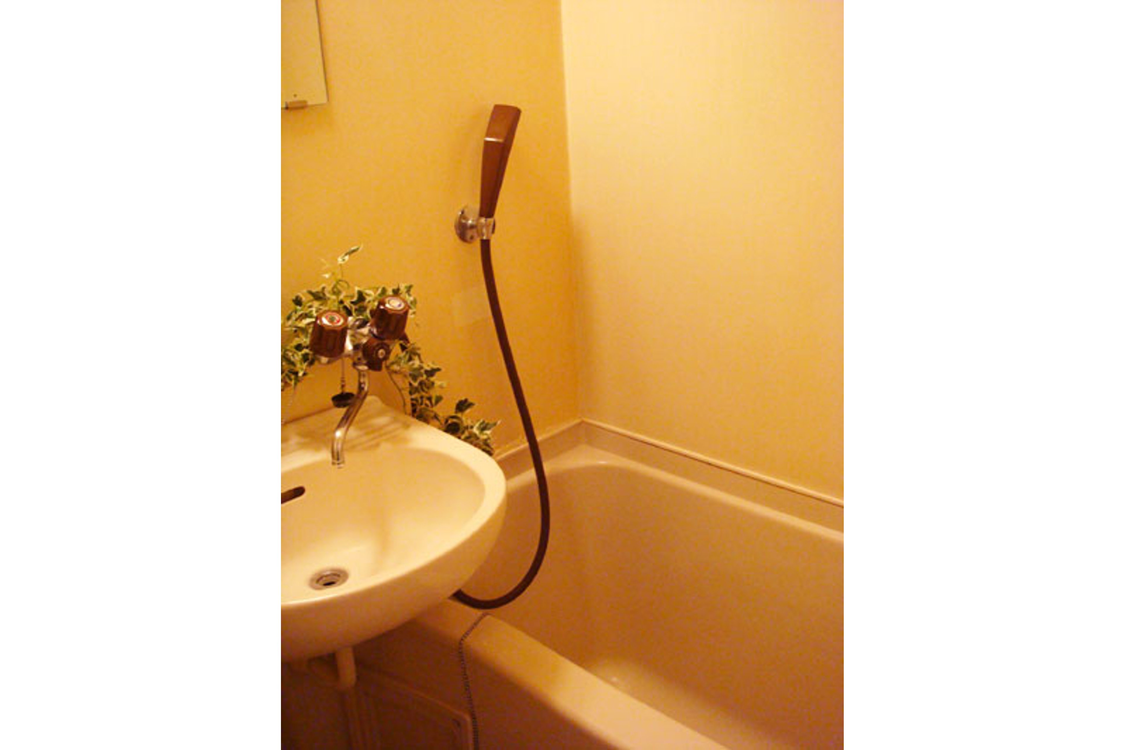 スタンダードタイプのイメージ