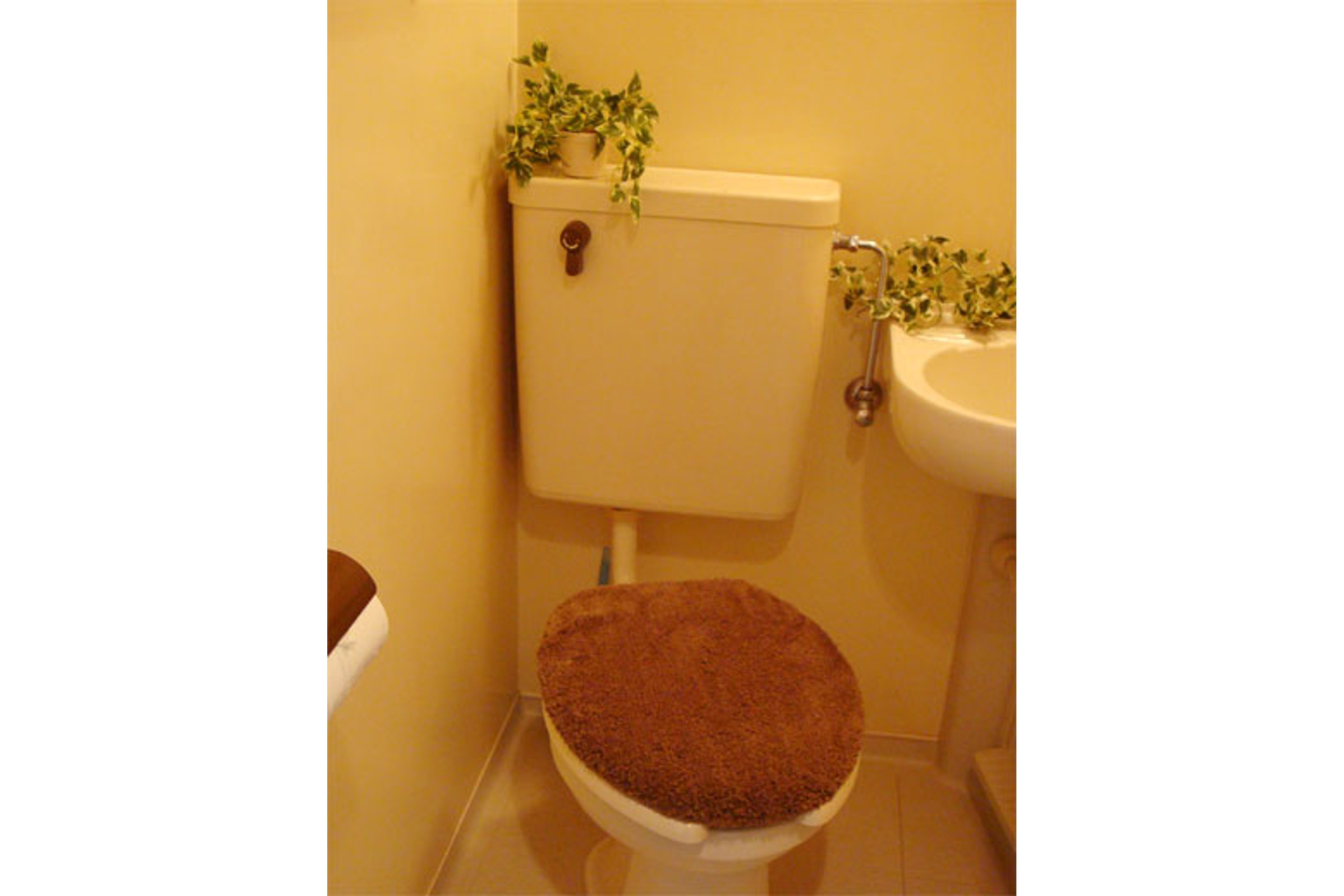 スタンダードタイプのイメージ