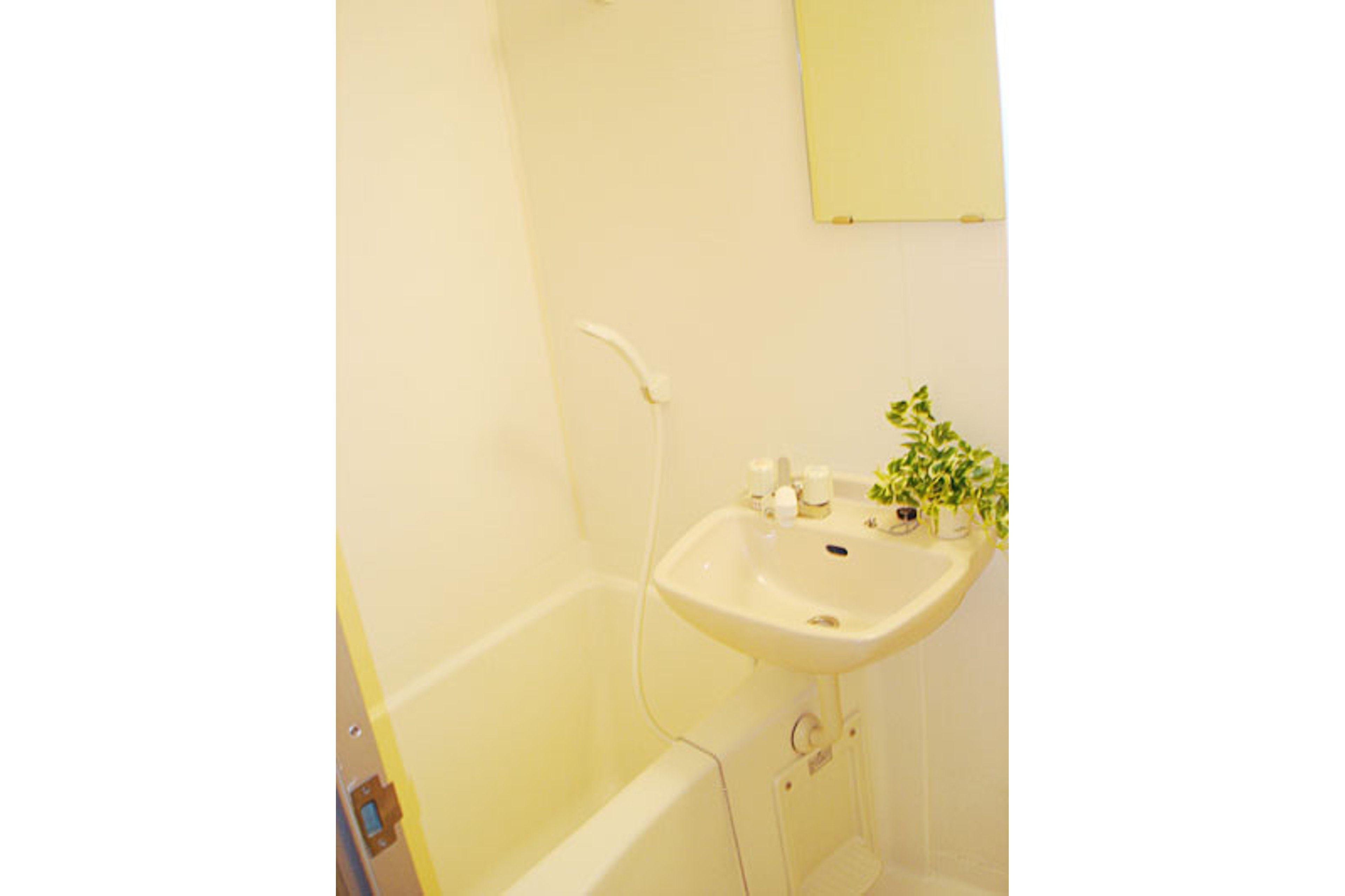 スタンダードタイプのイメージ