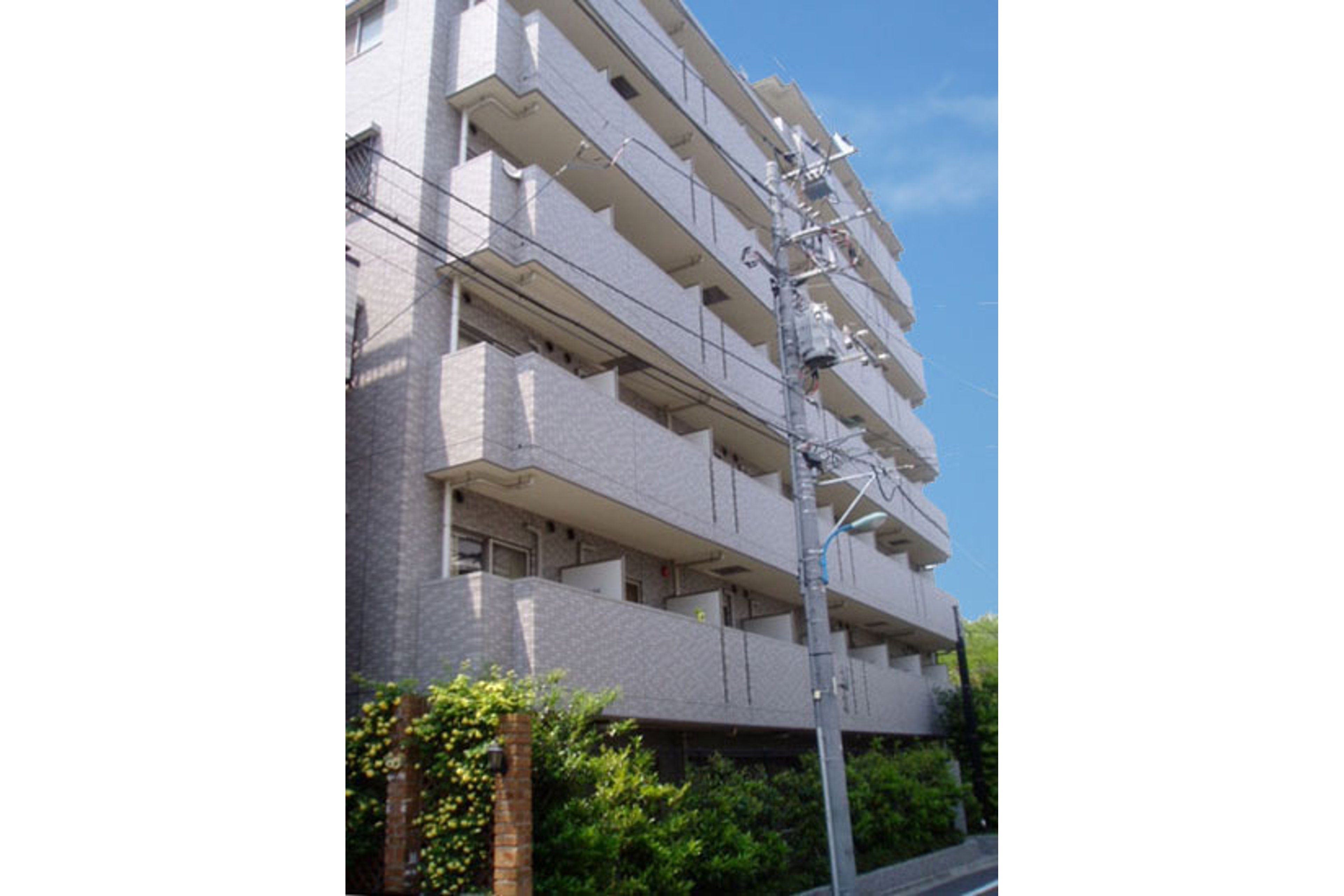 スタンダードタイプのイメージ