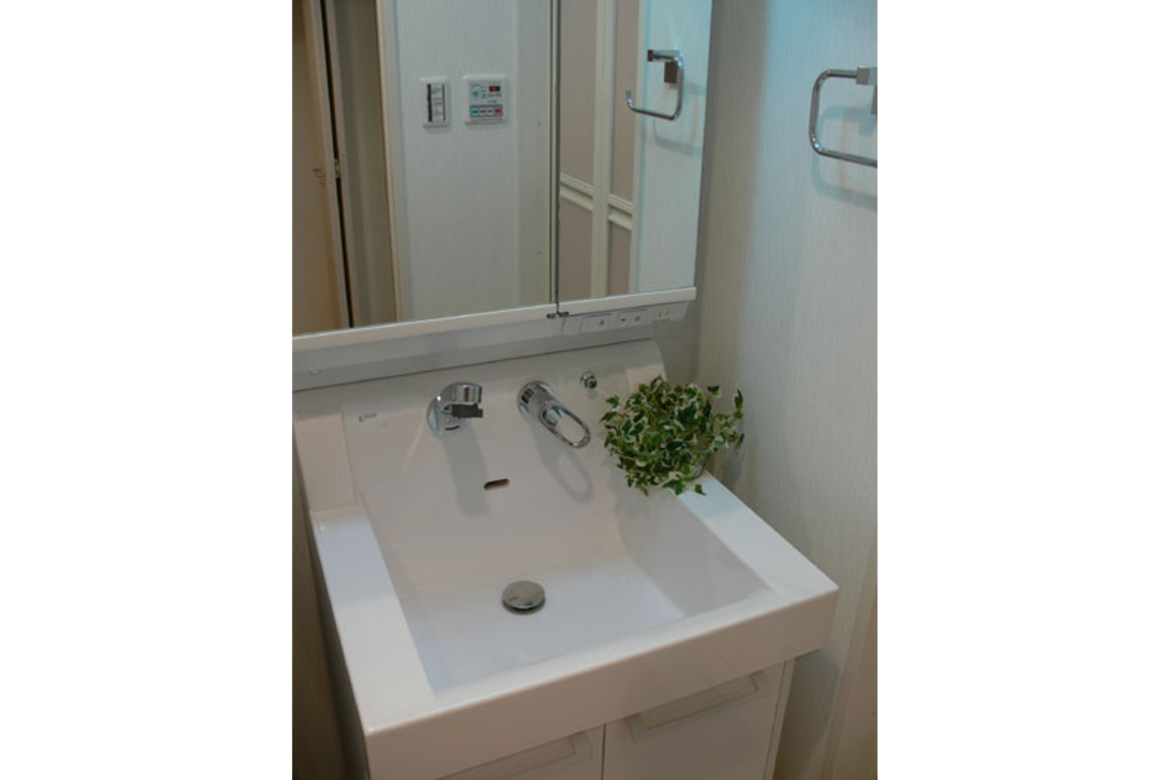 プラチナタイプのイメージ