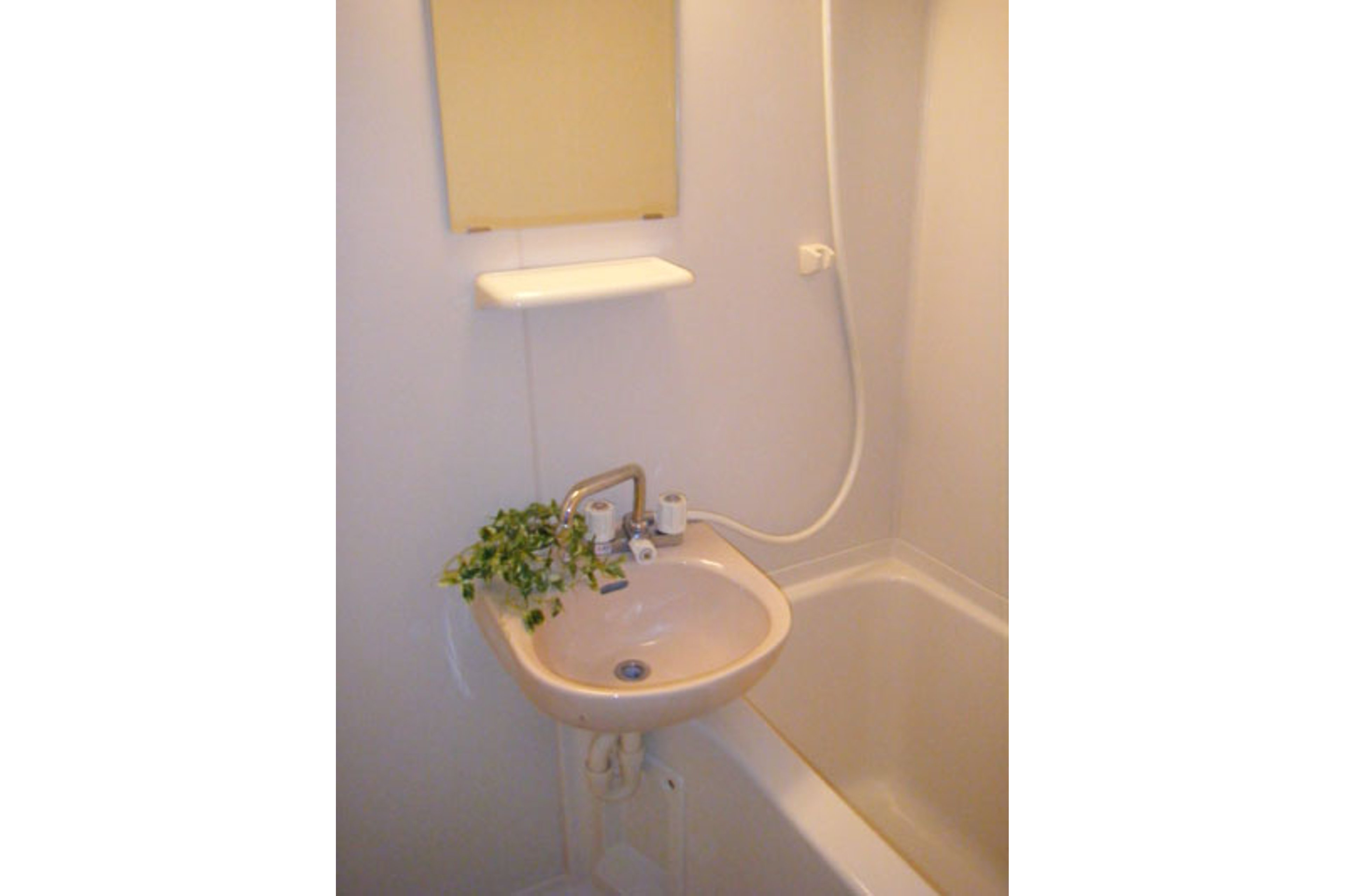 スタンダードタイプのイメージ