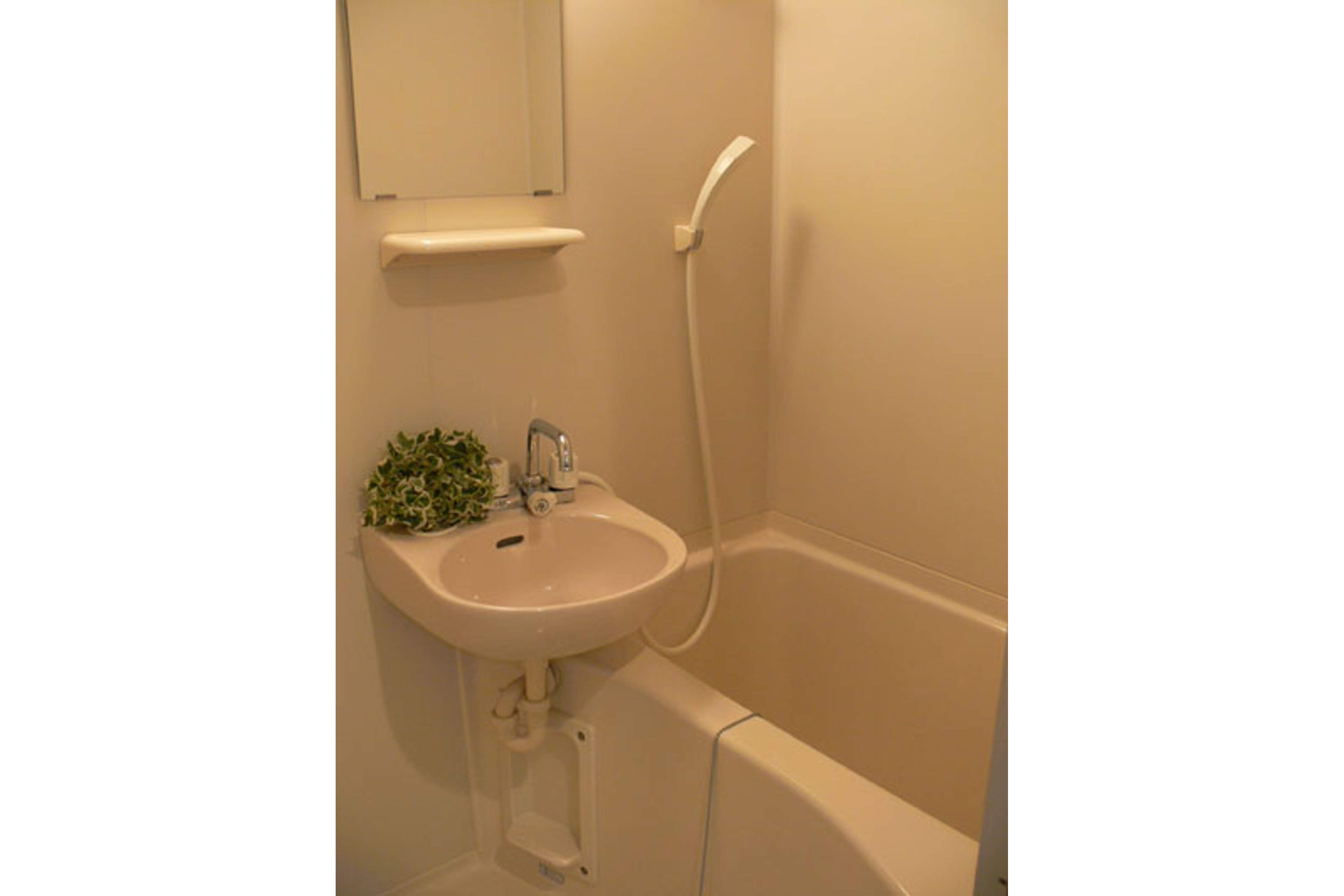 スタンダードタイプのイメージ