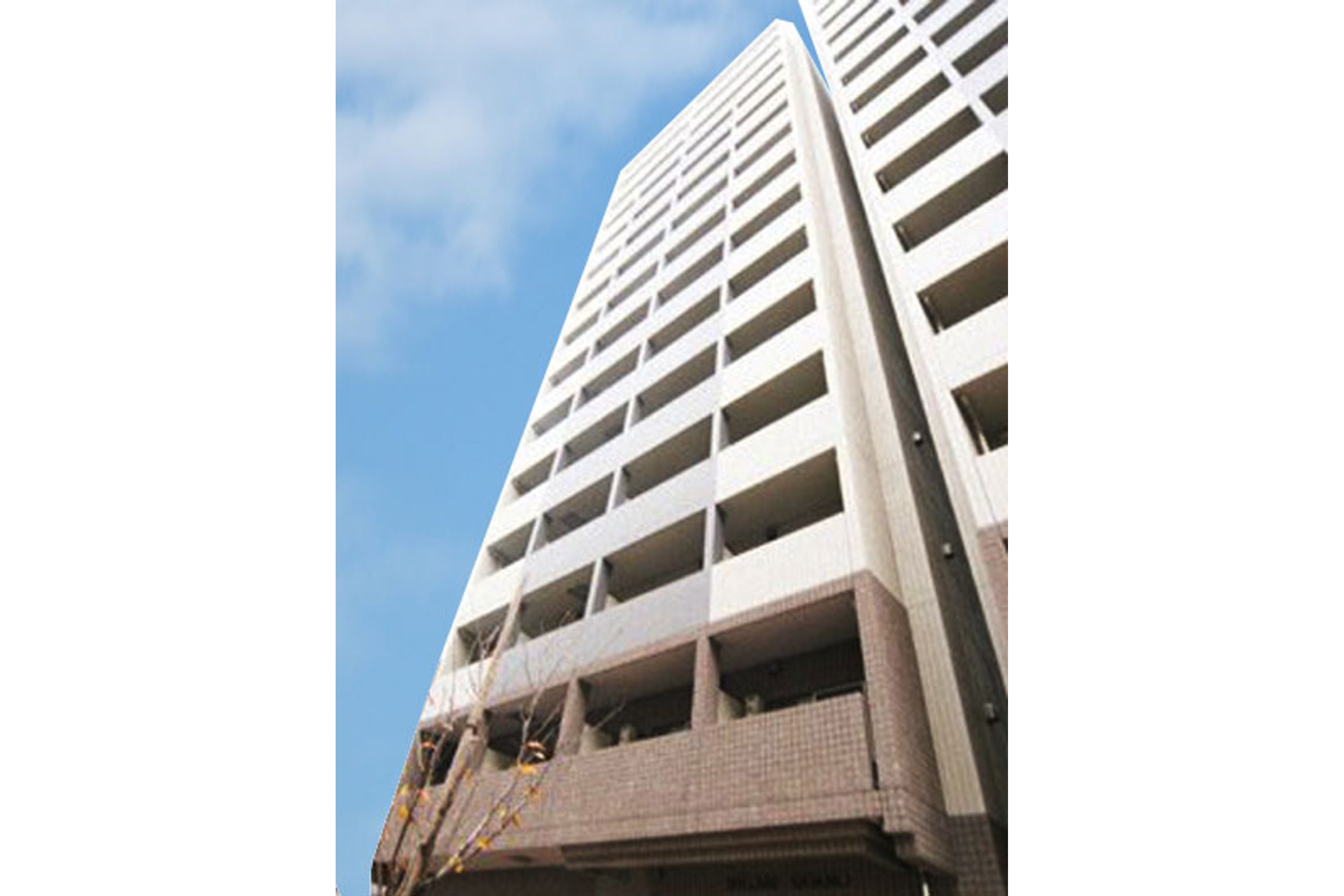 スタンダードタイプのイメージ