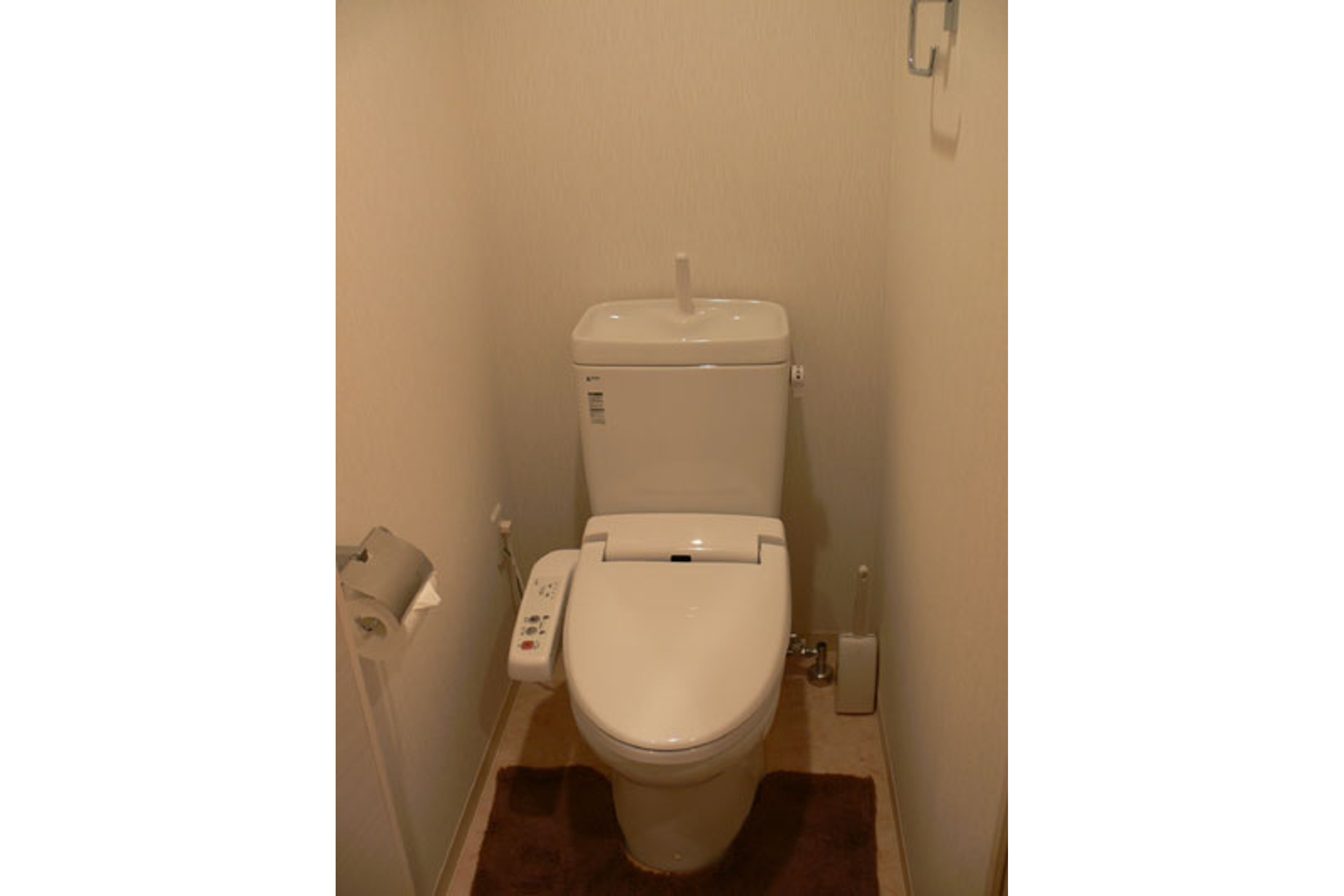 プラチナタイプのイメージ