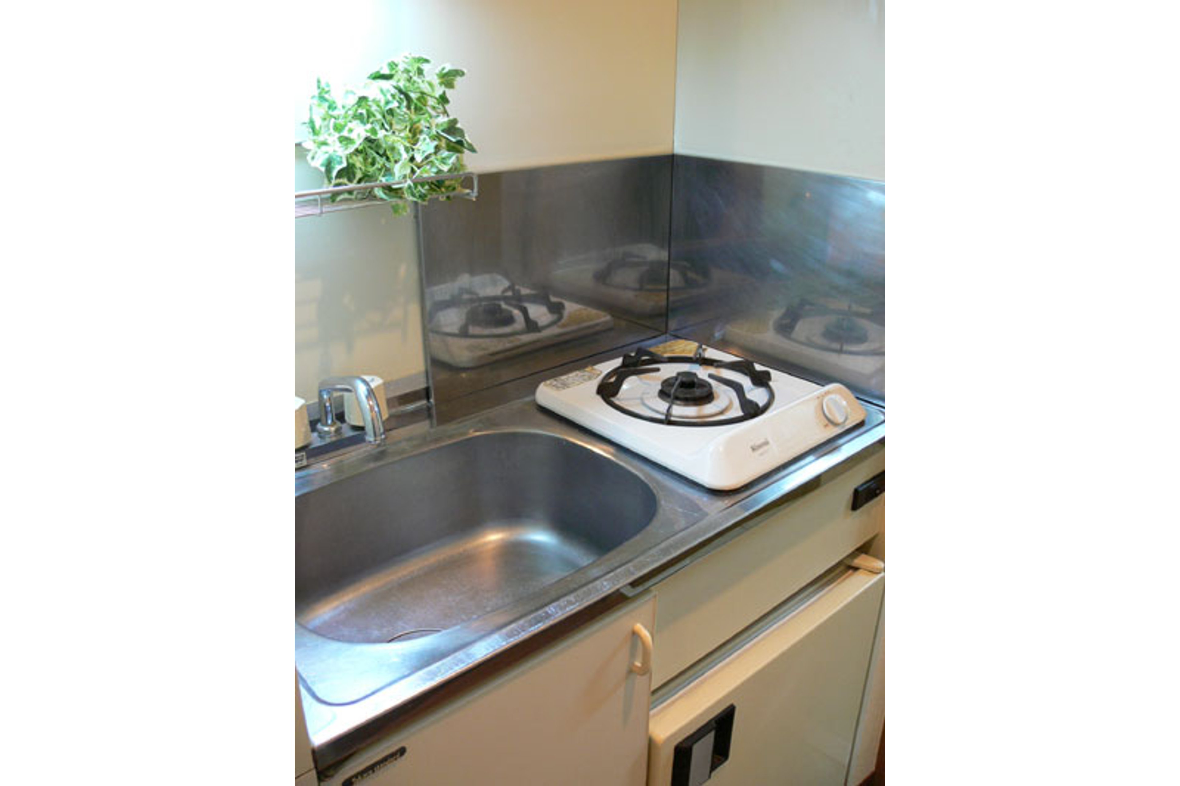 スタンダードタイプのイメージ